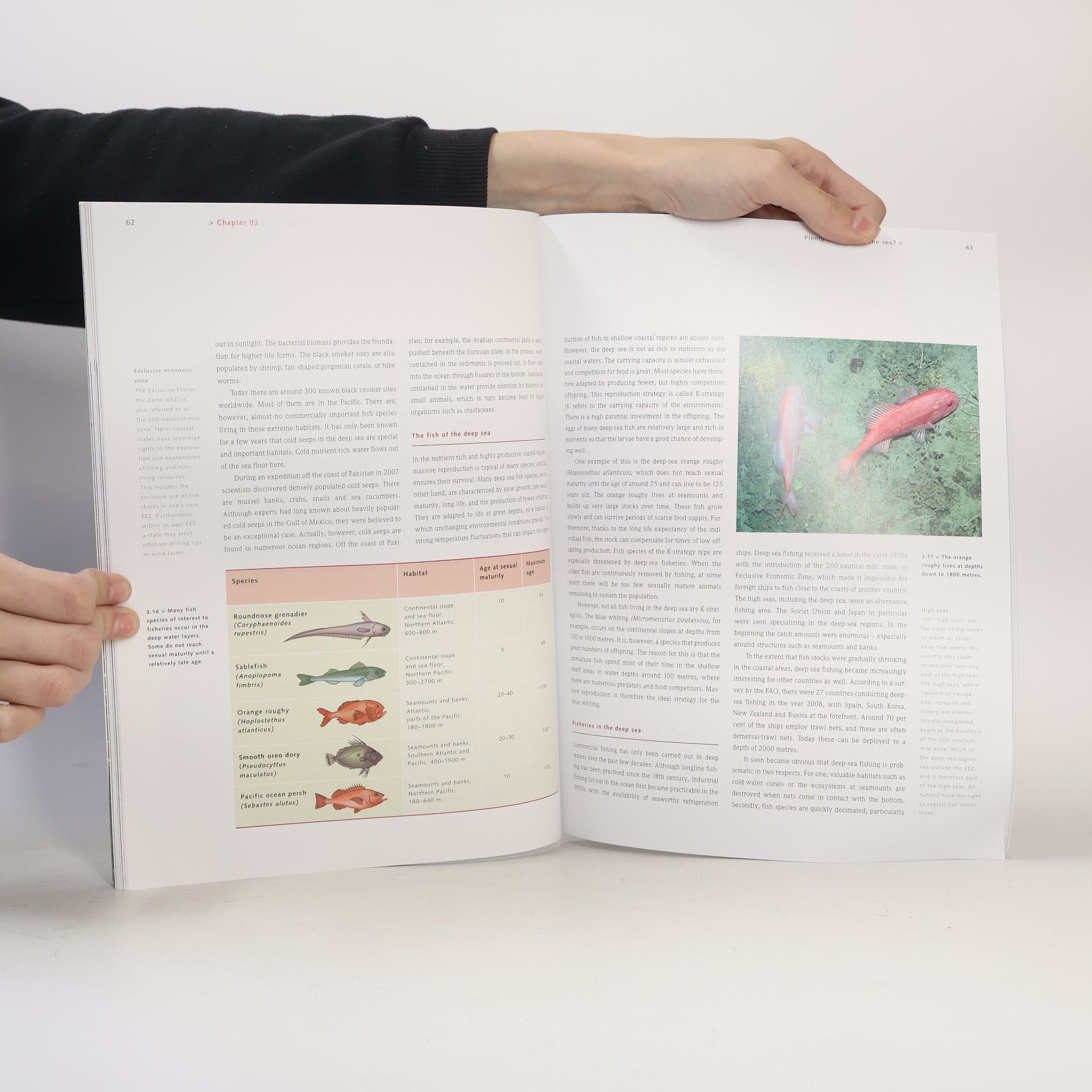 Tim Schroder World Ocean Review - 2: The Future of Fish - The Fisheries of the Future