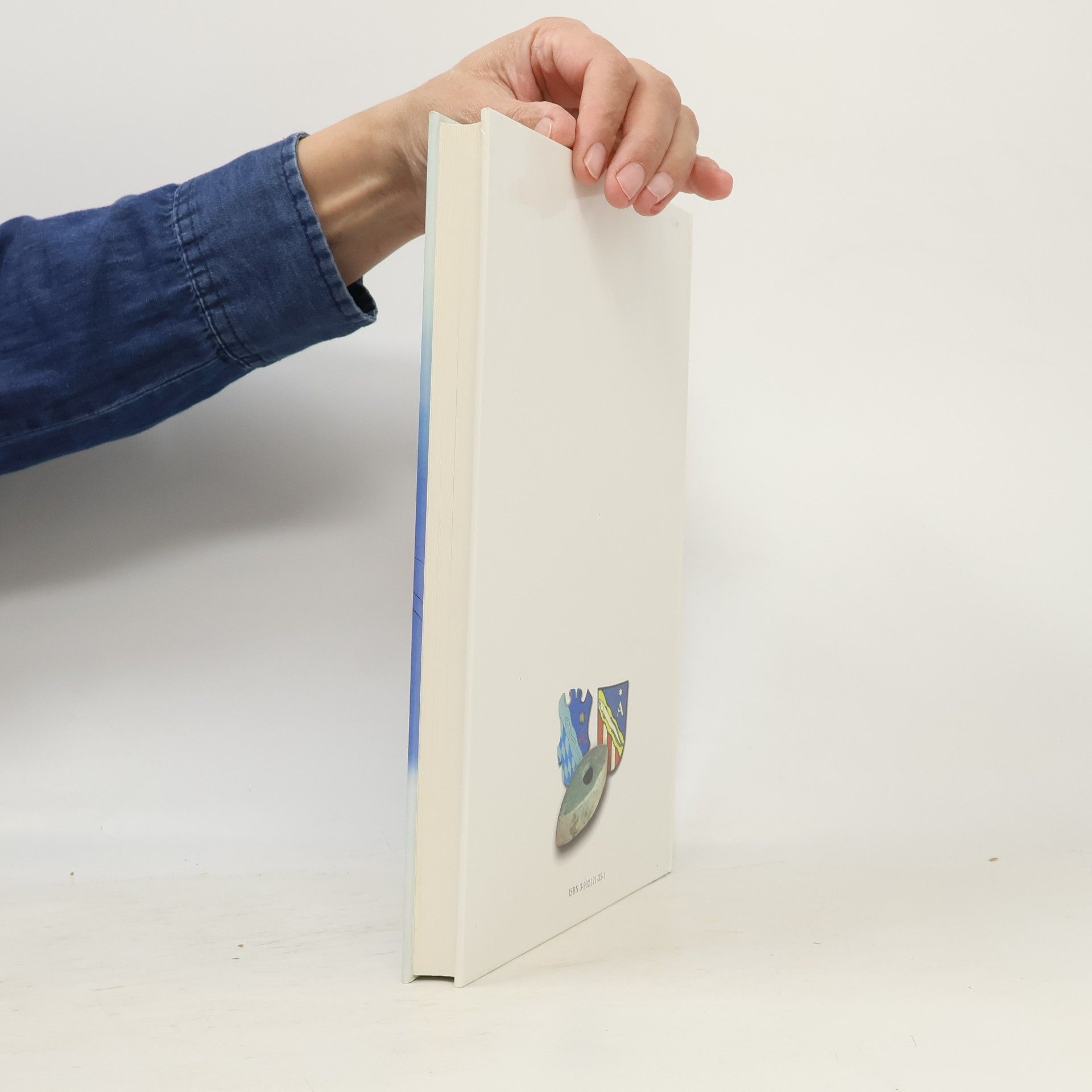 Lothar Bodingbauer Buch der Stadt Altheim