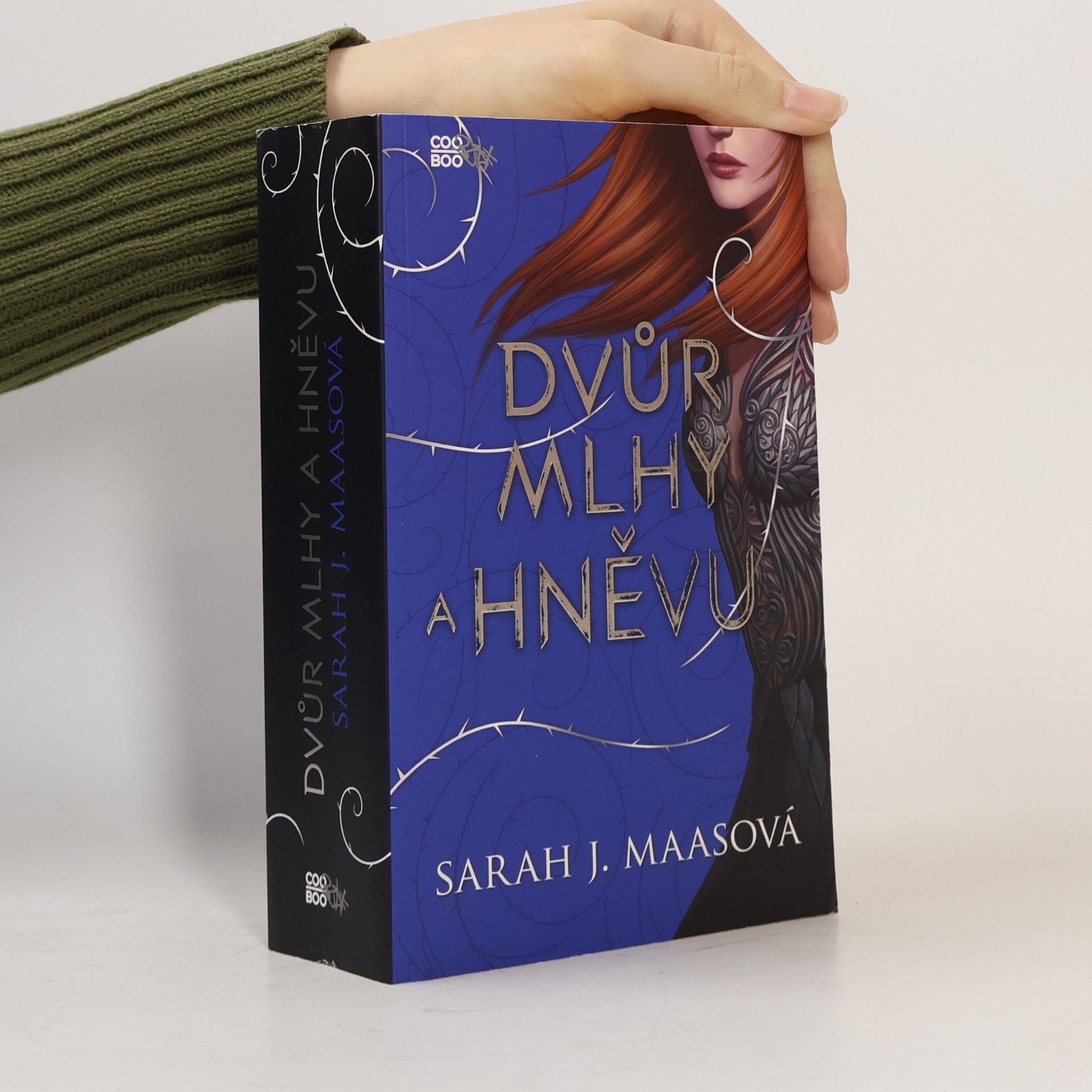 Sarah J. Maas Dvůr mlhy a hněvu