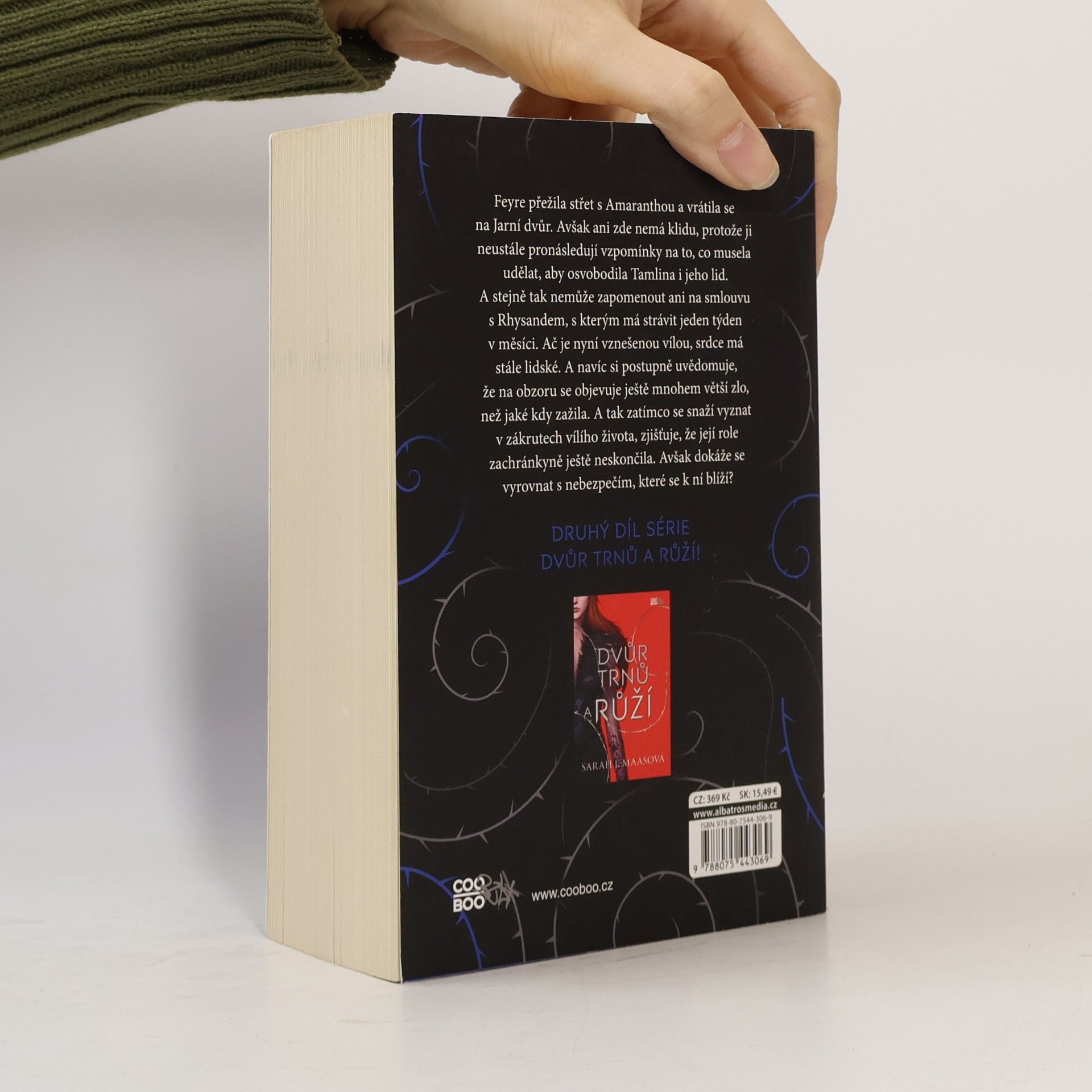 Sarah J. Maas Dvůr mlhy a hněvu