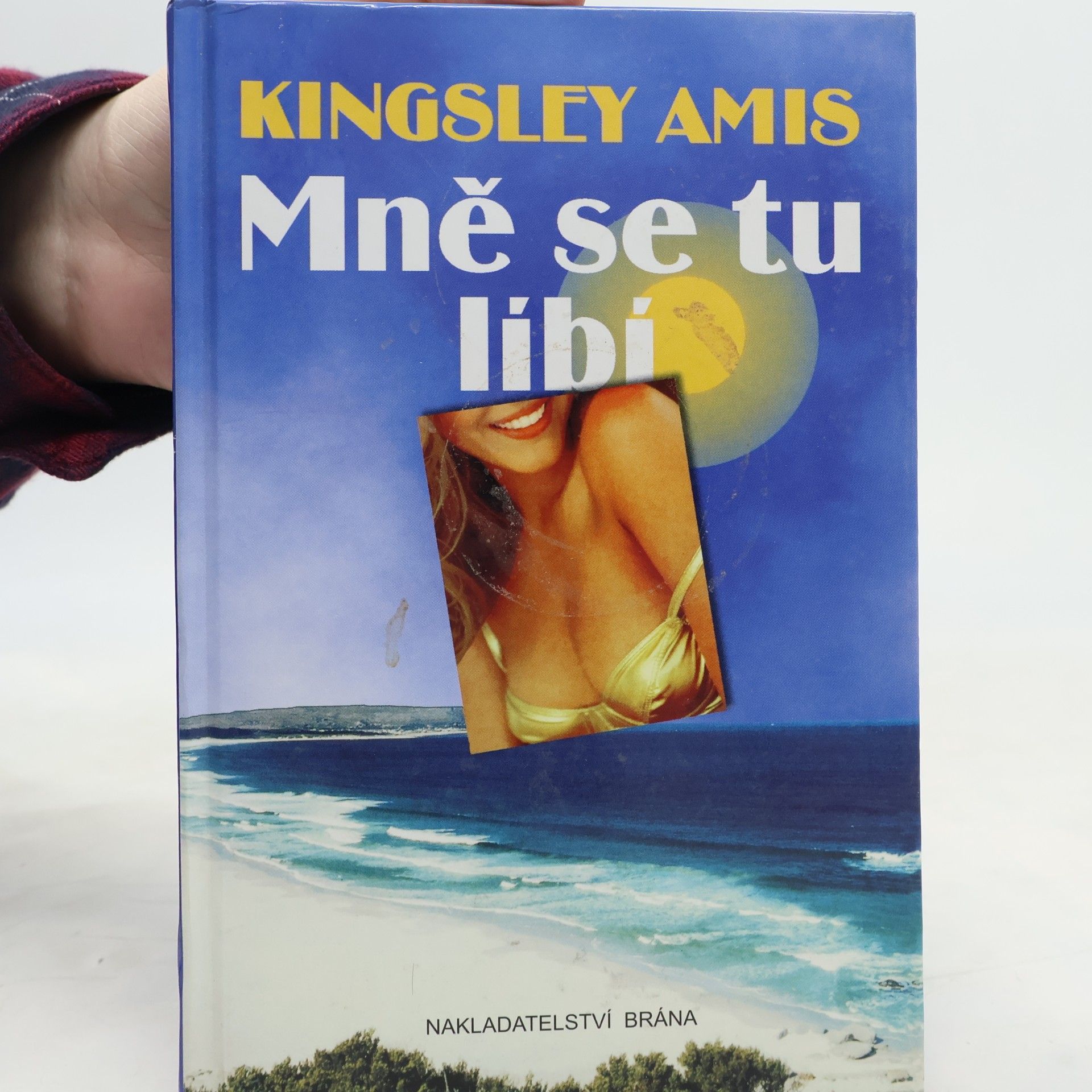 Kingsley Amis Mně se tu líbí
