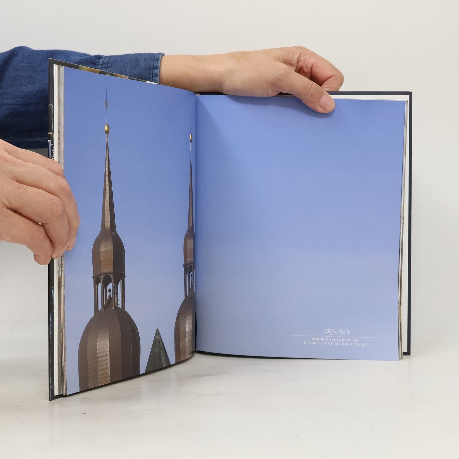 Dana Zacharová Trnava: Mestská pamiatková rezervácia (Trnava: Town Monumental Zone)