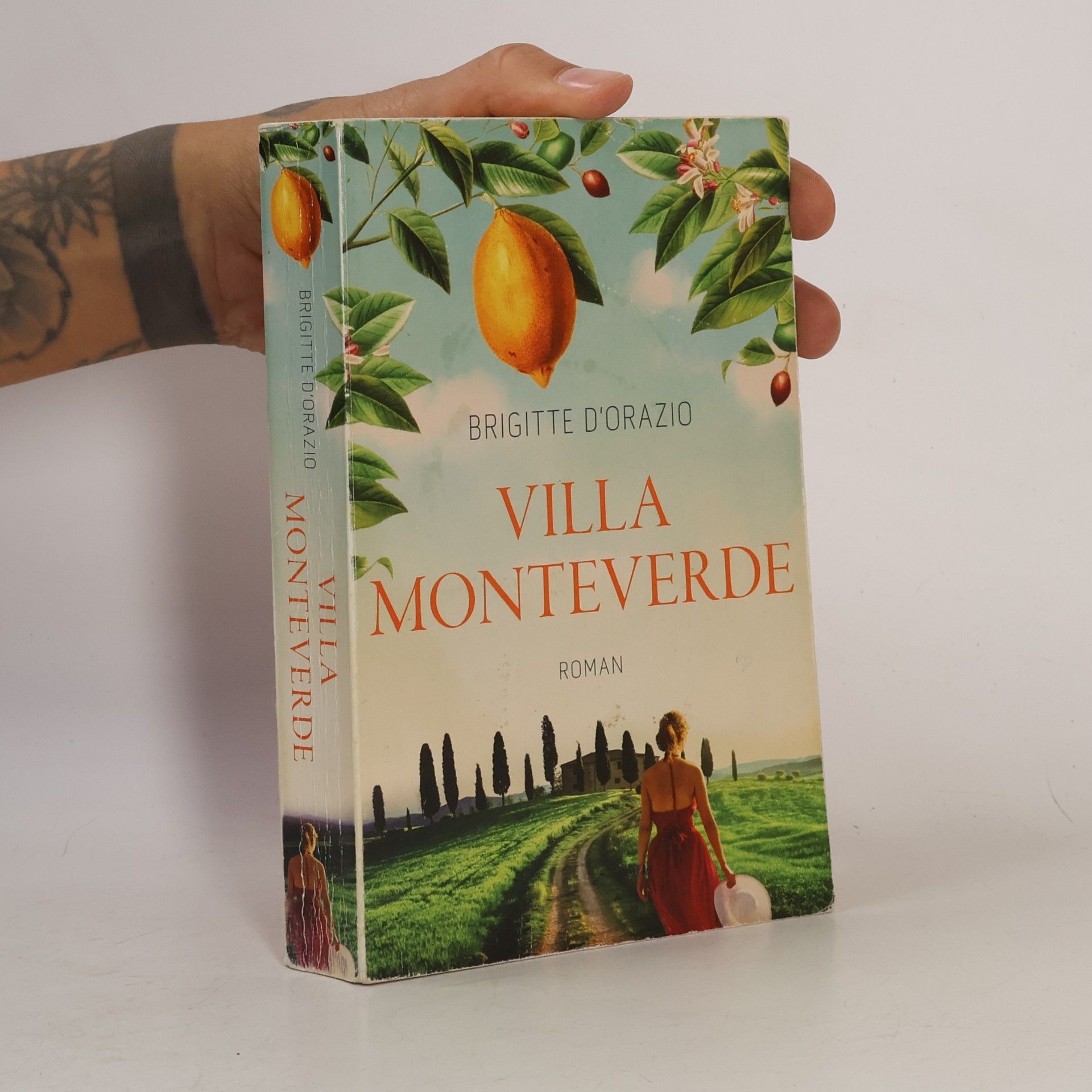 Brigitte D. Orazio Villa Monteverde