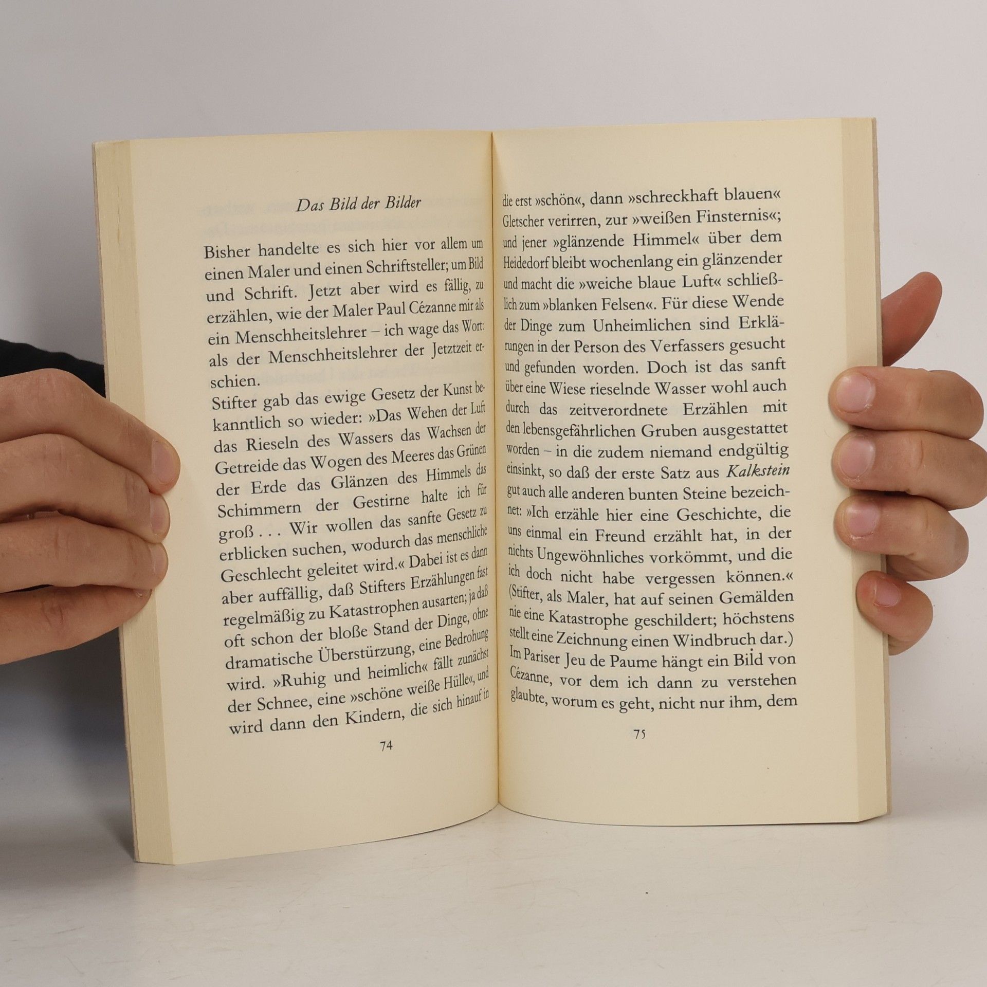 Peter Handke Die Lehre der Sainte-Victoire