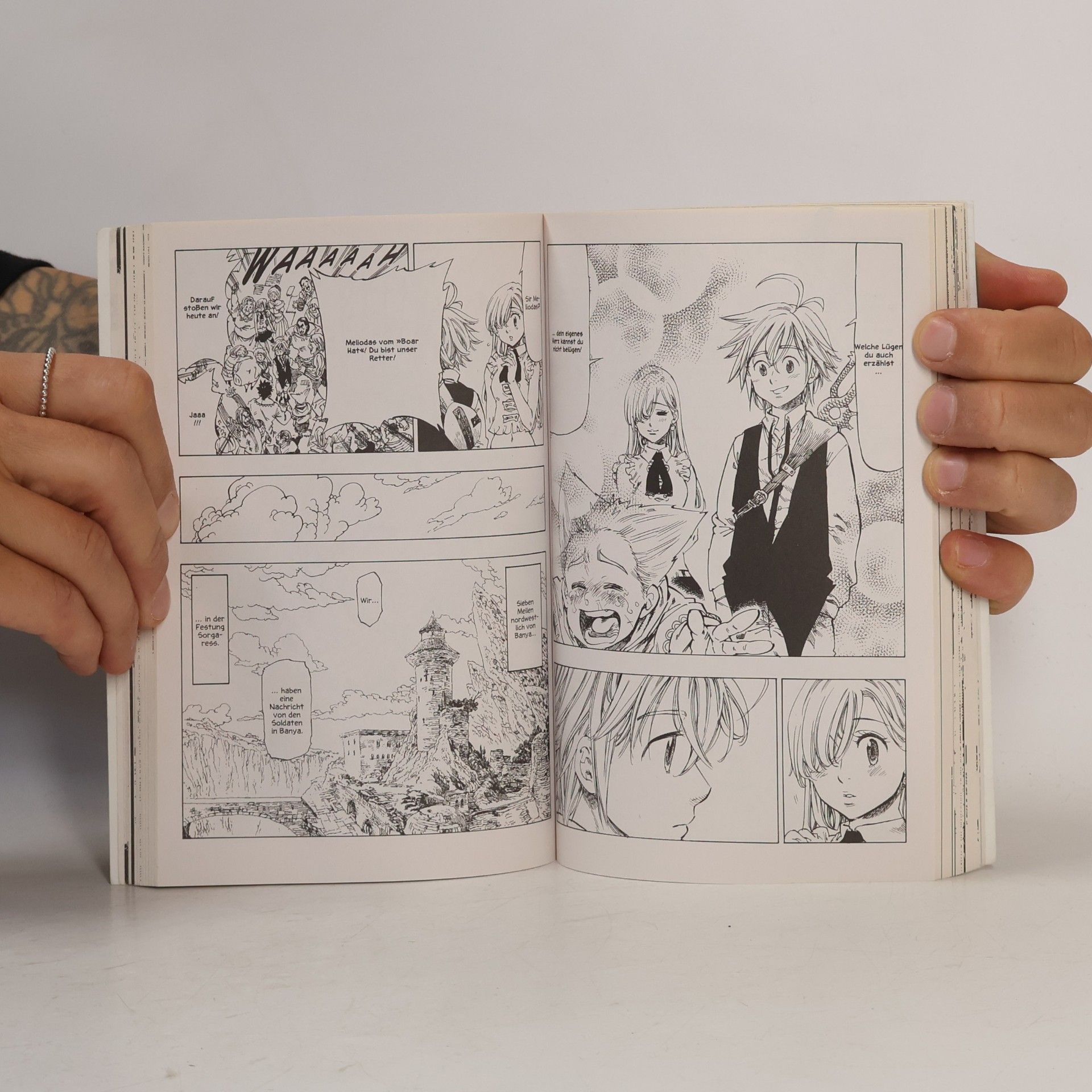 Nakaba Suzuki Seven Deadly Sins 1