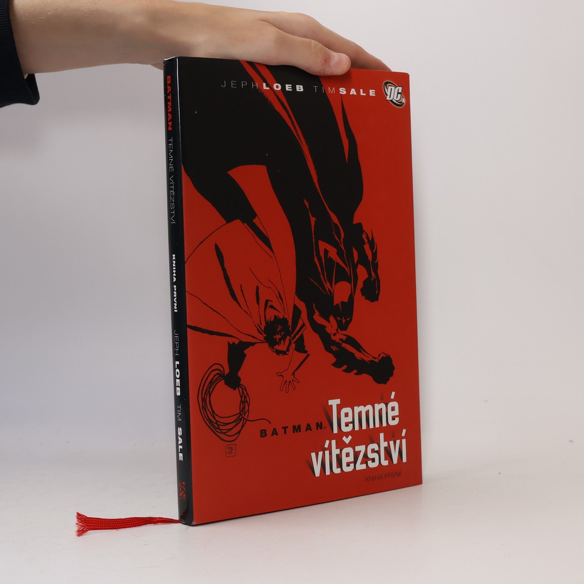 Jeph Loeb Batman: Temné vítězství. Kniha první