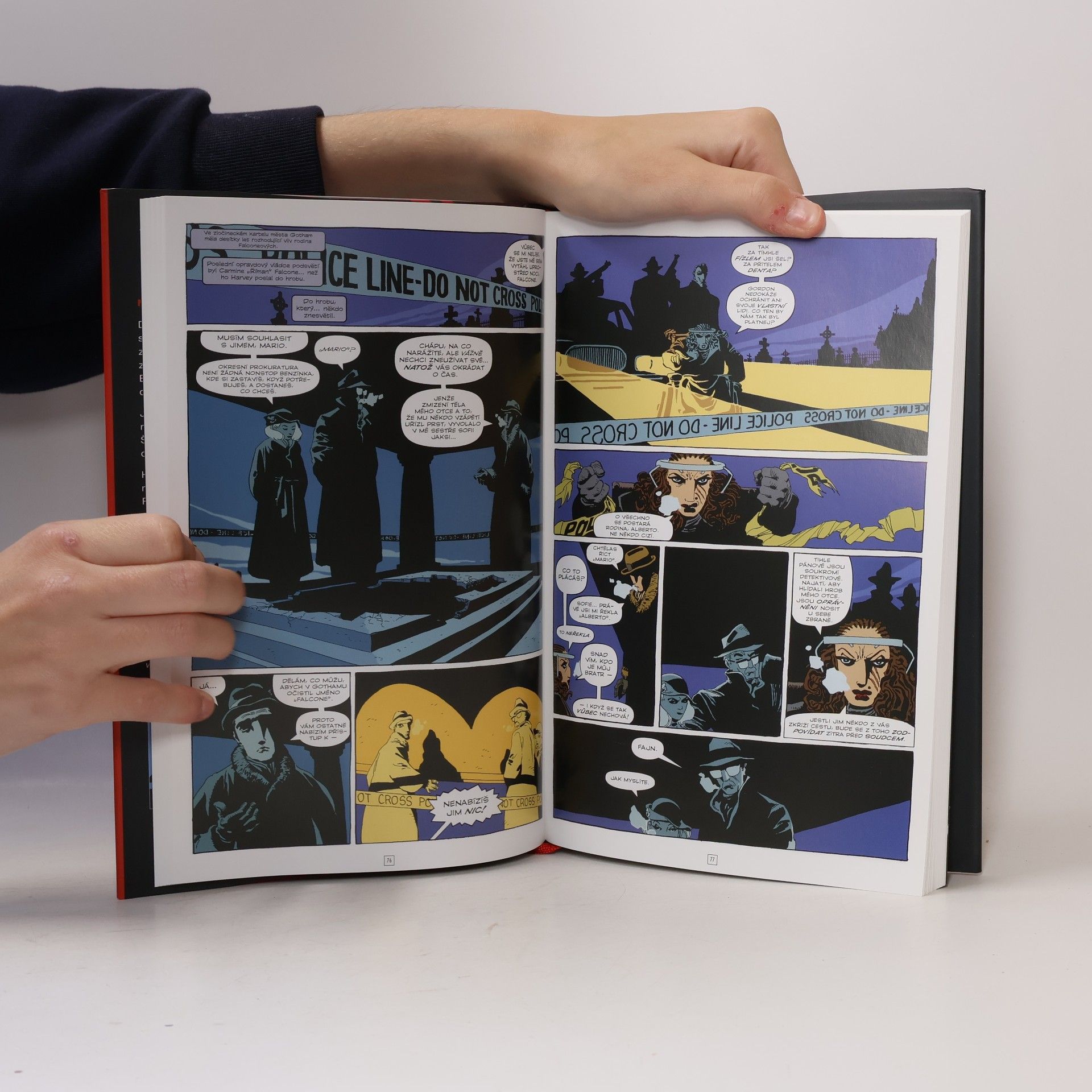 Jeph Loeb Batman: Temné vítězství. Kniha první