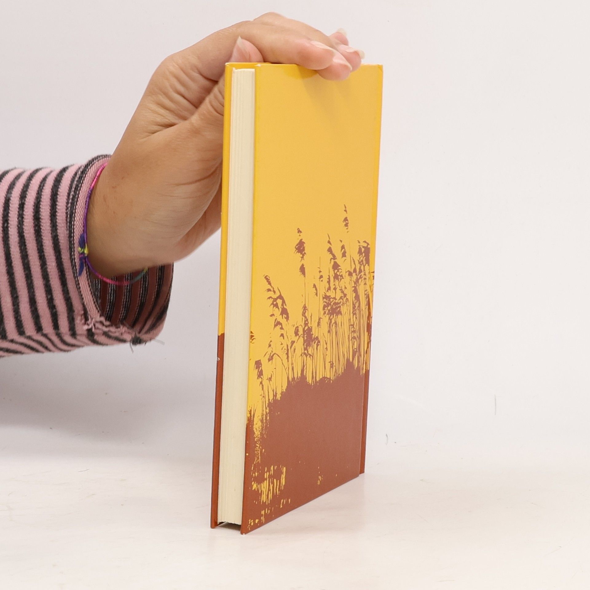 Heinz Lemmermann Bookweten Pankoken