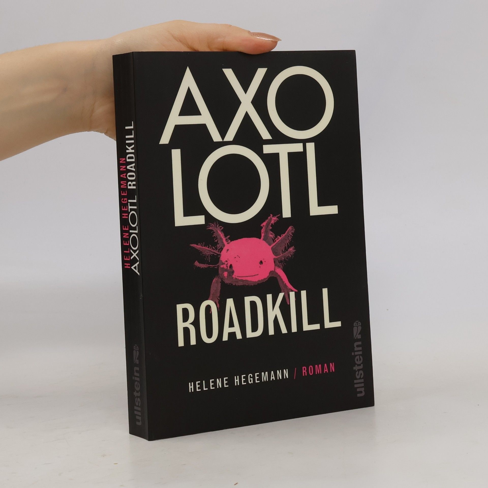 Helene Hegemann Axolotl Roadkill : Roman