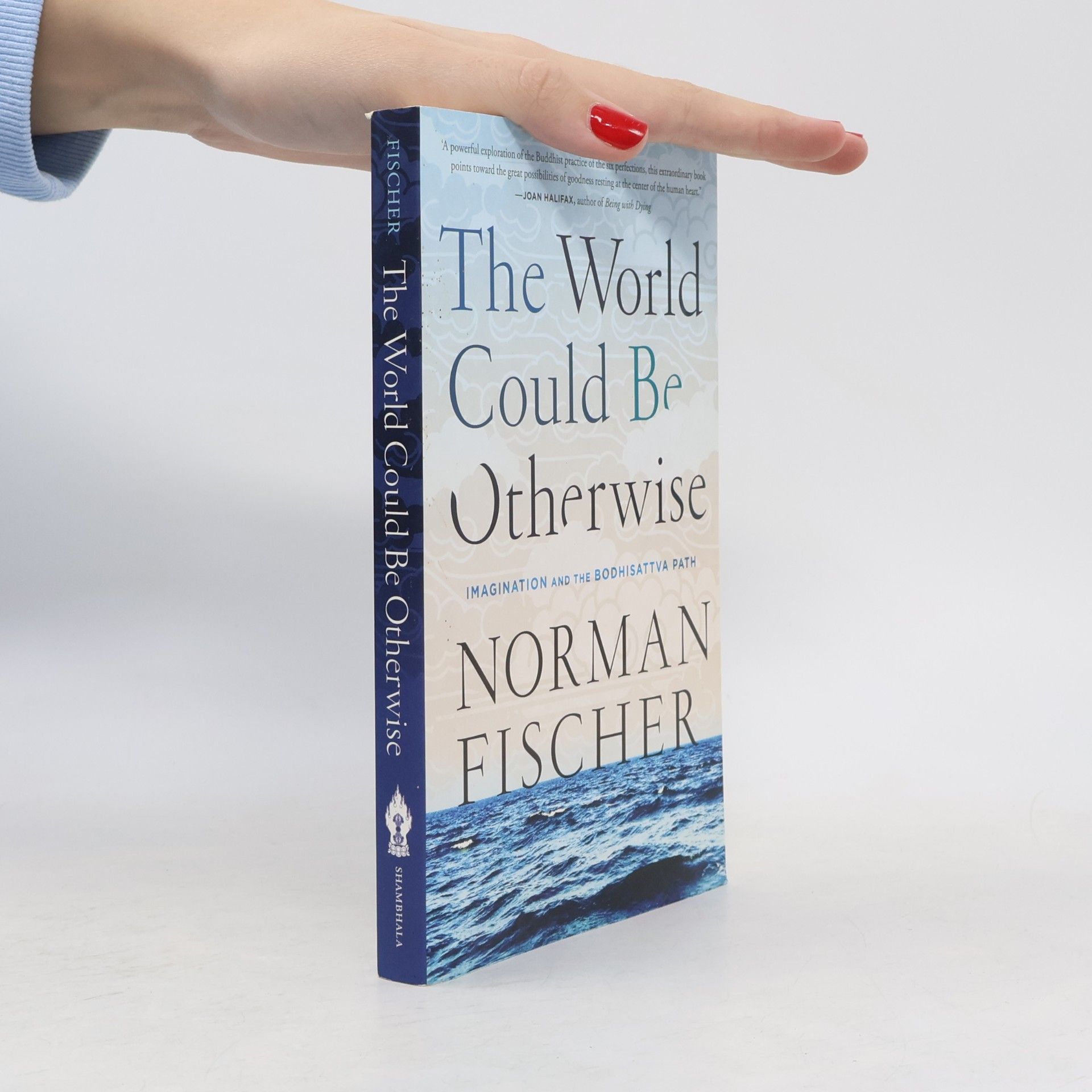 Fischer Norman World Could Be Otherwise