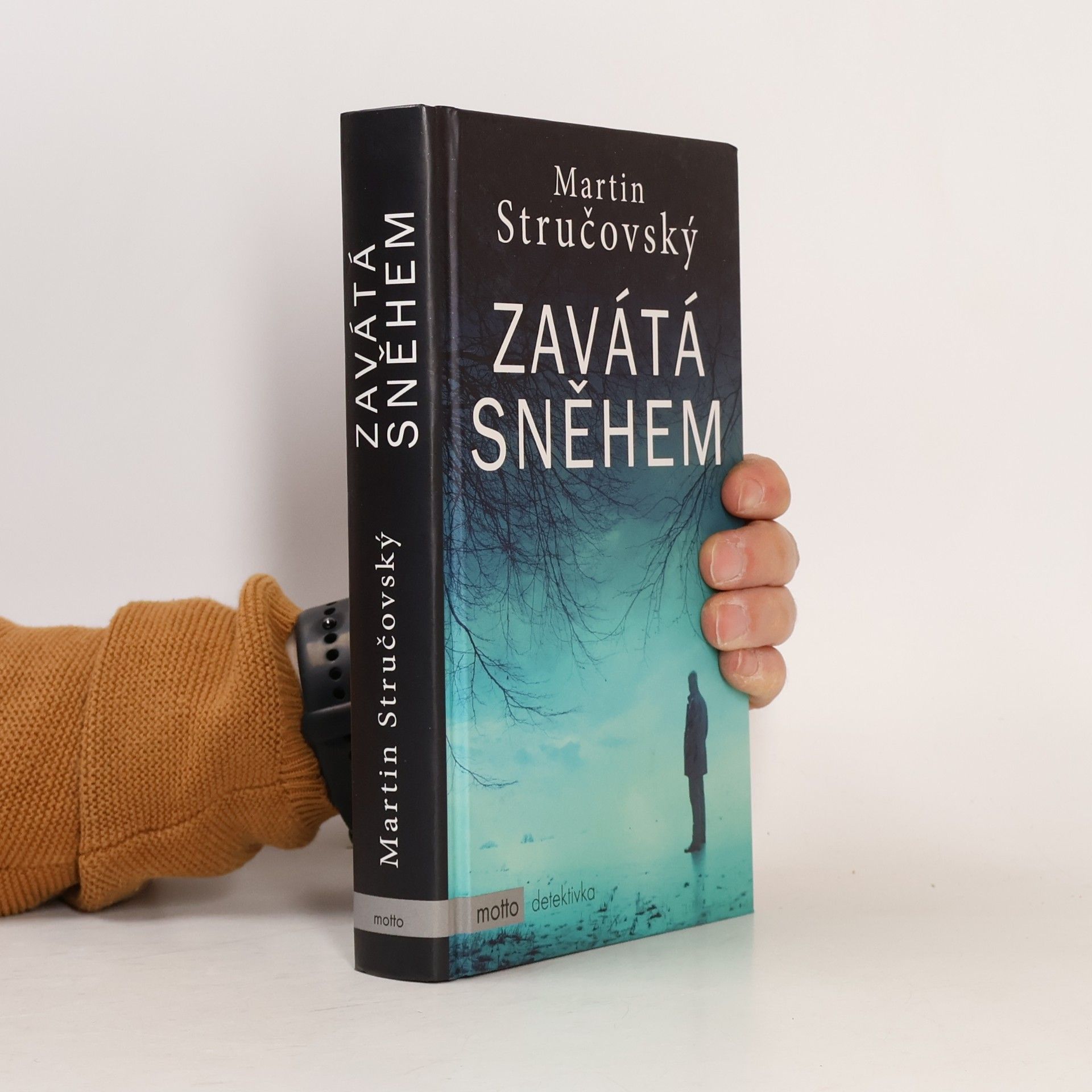 Martin Stručovský Zavátá sněhem