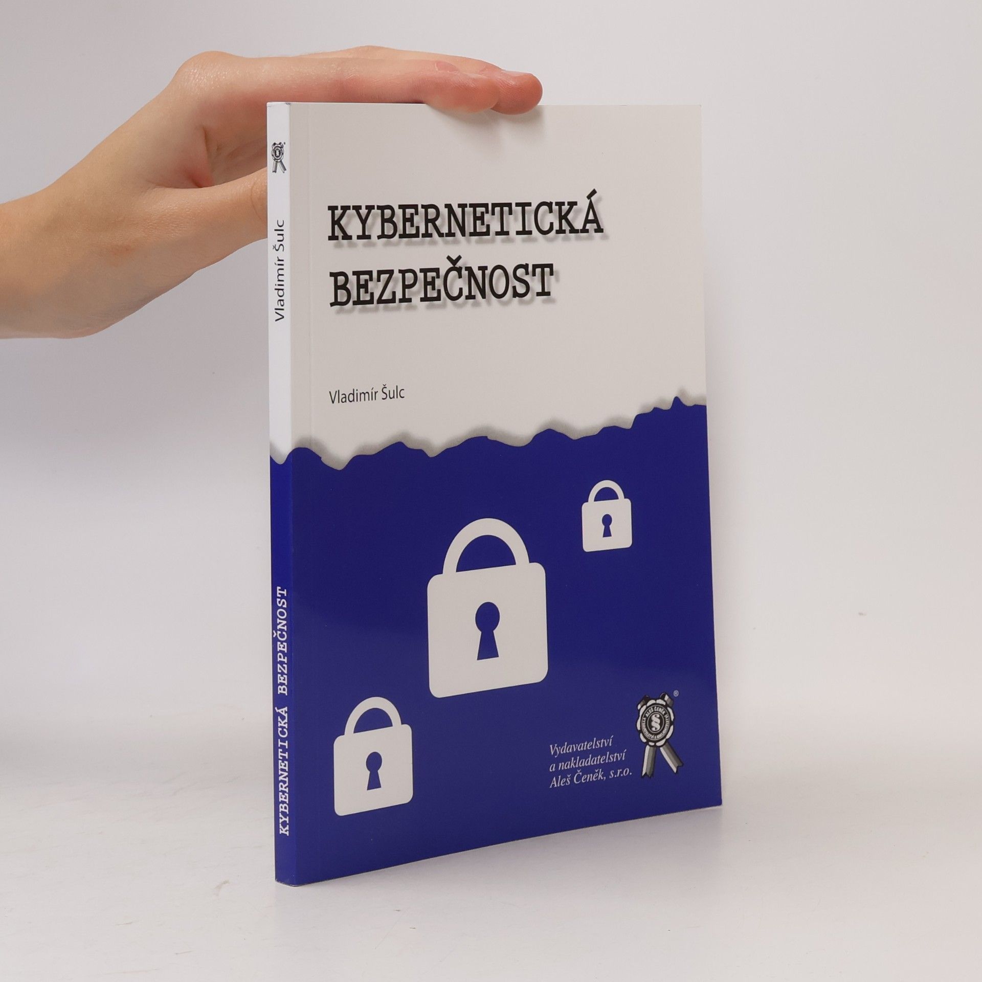 Vladimír Šulc Kybernetická bezpečnost