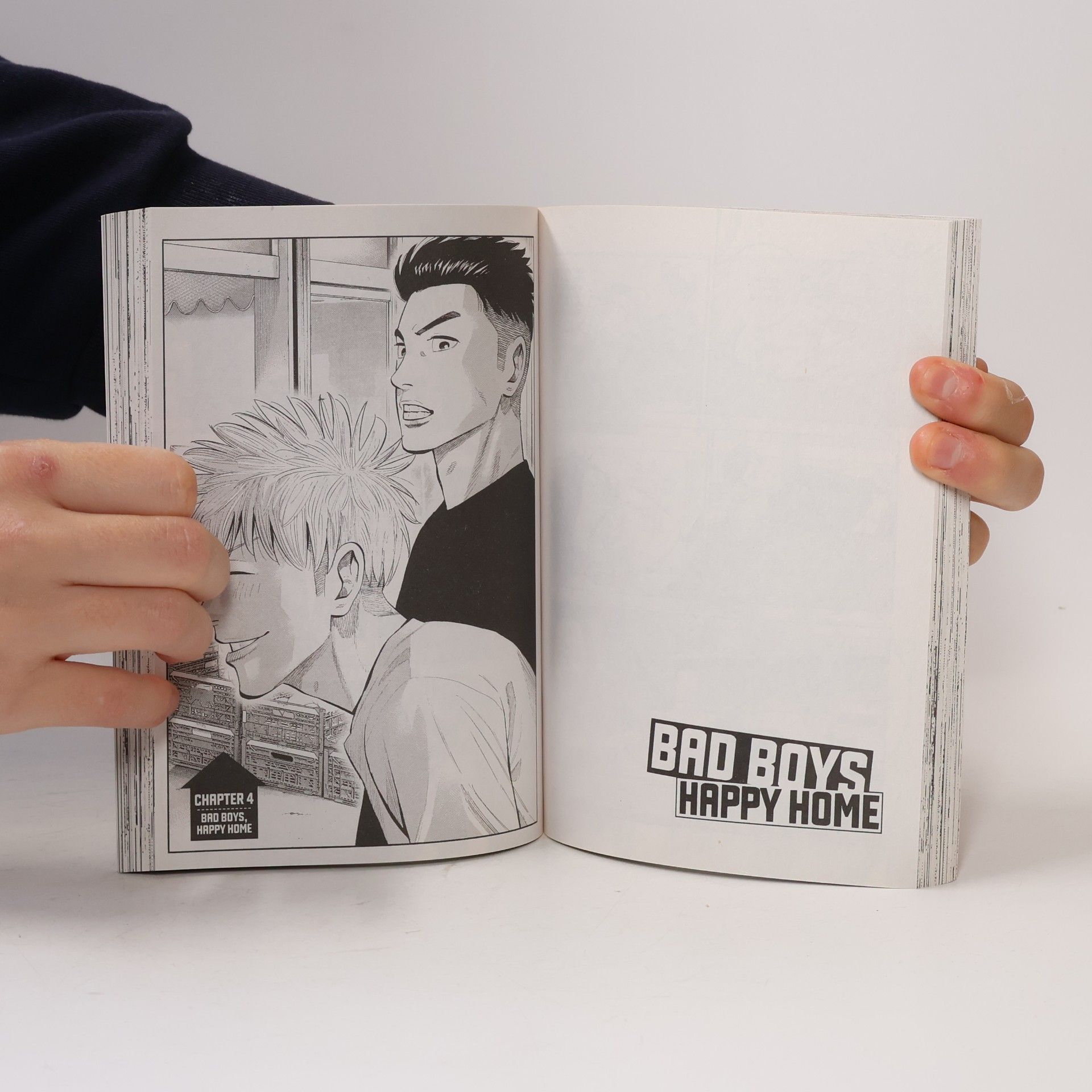 Hiromasa Okujima Bad boys: Happy home