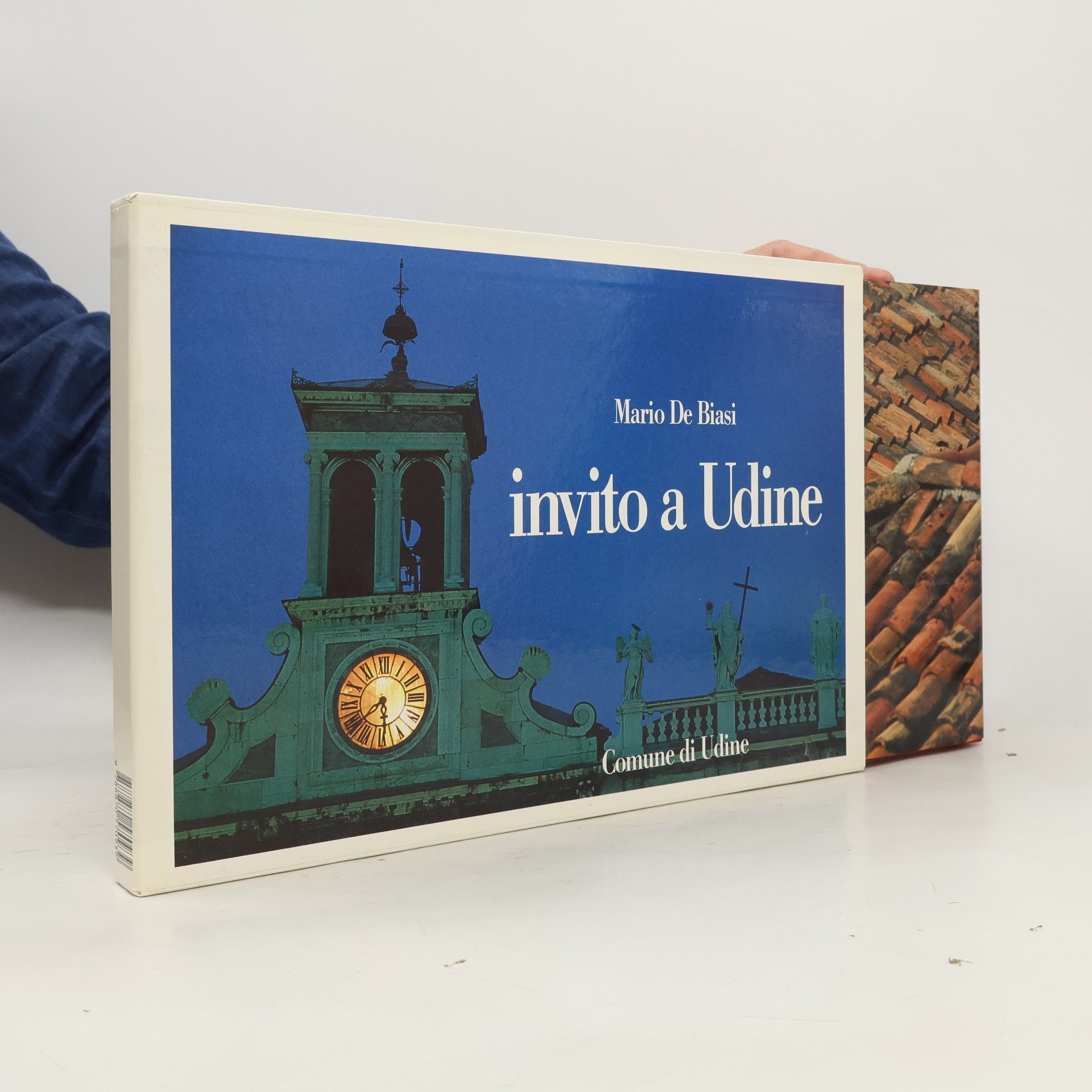 Giuseppe Bergamini Invito a Udine