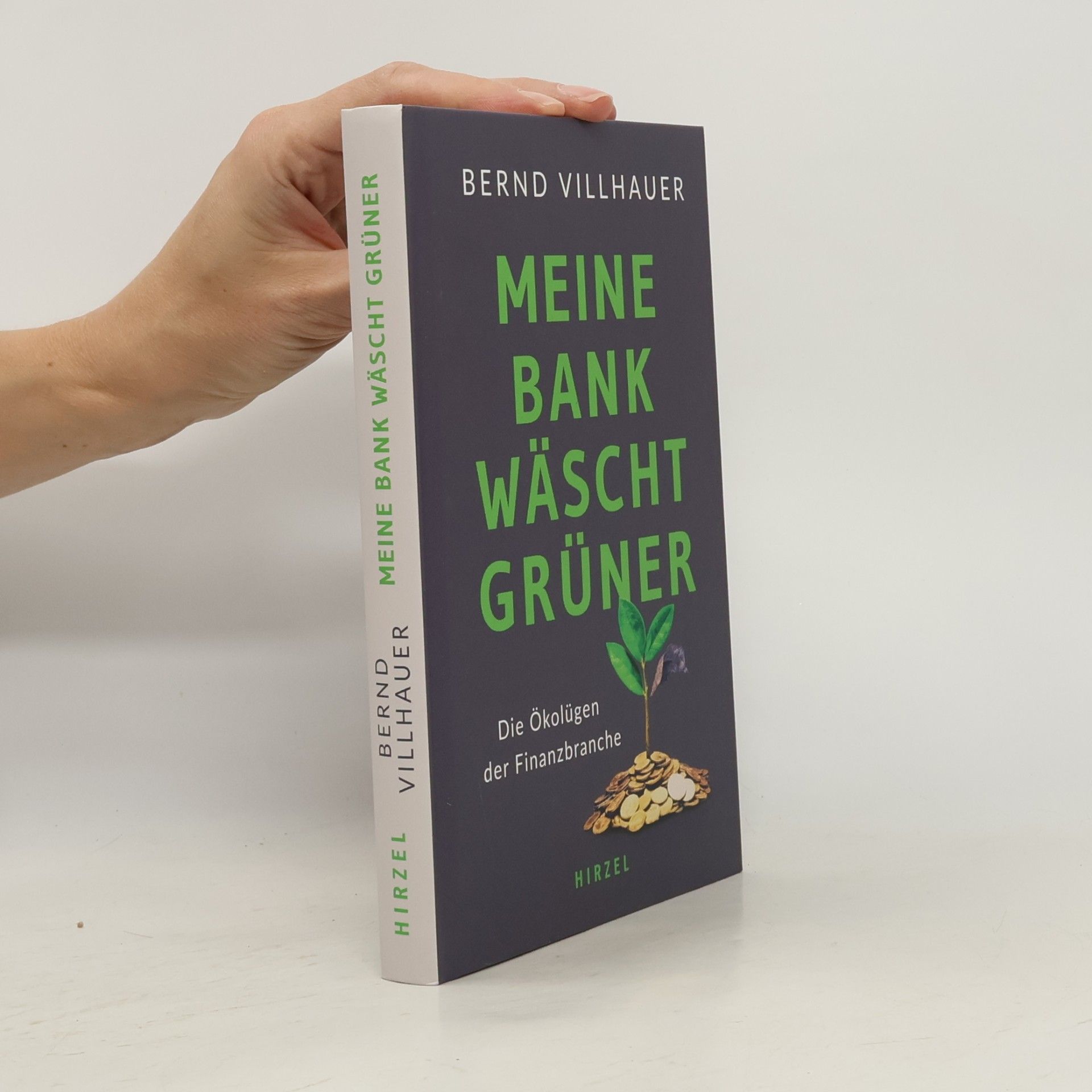Bernd Dr. Villhauer Meine Bank wäscht grüner