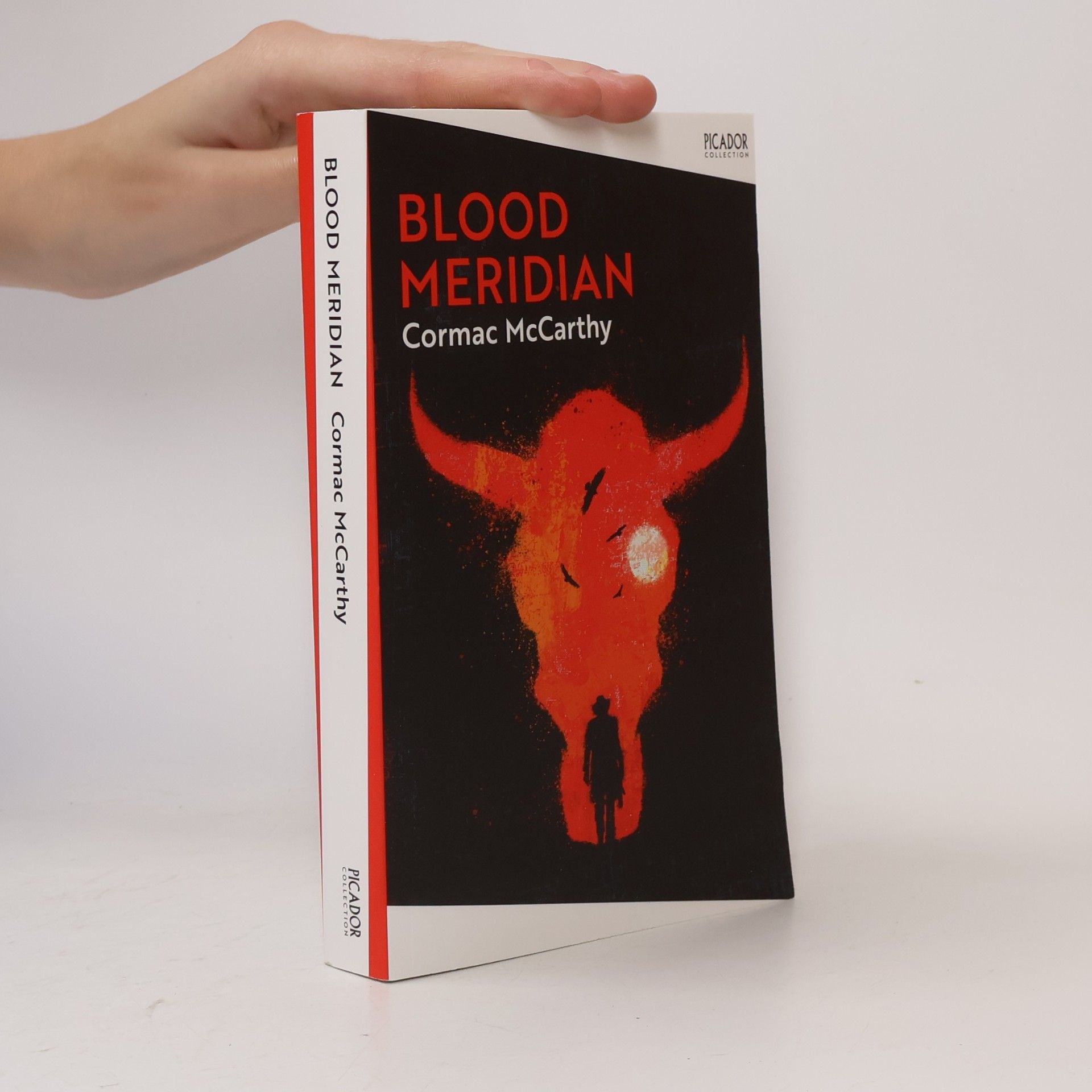 Cormac McCarthy Blood Meridian