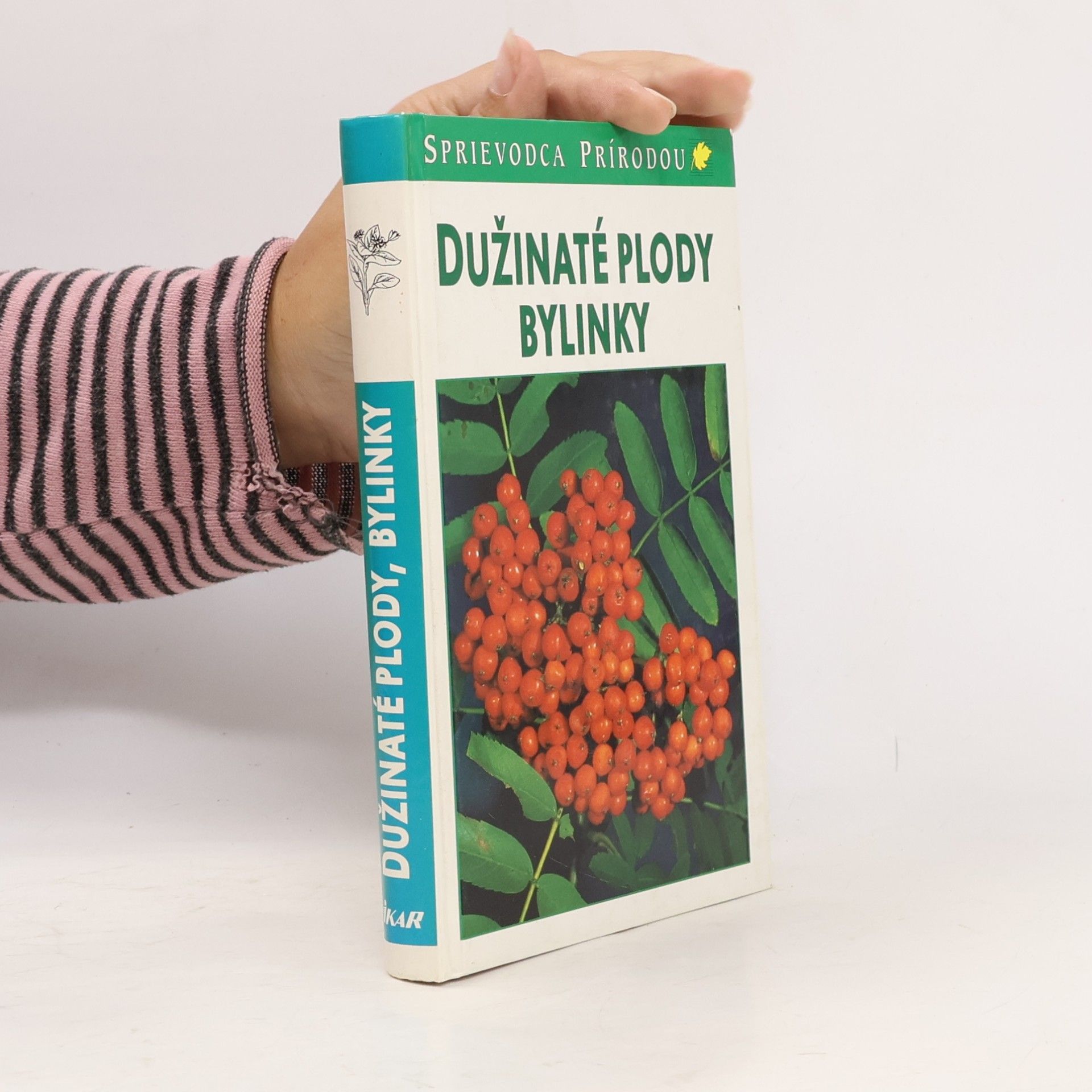 Autorenkollektiv Dužinaté plody, bylinky