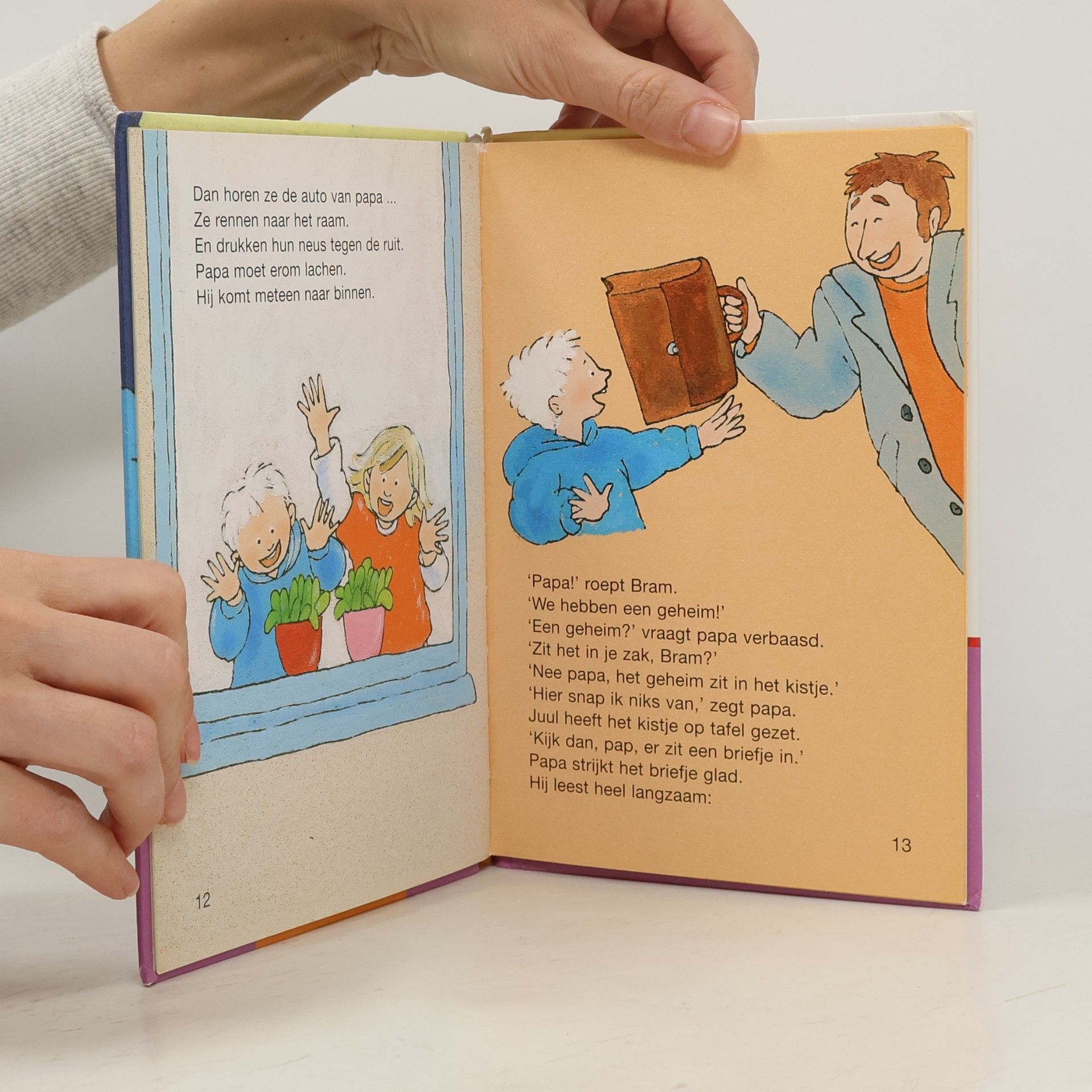 HET GEHEIM VAN OMA SIEN