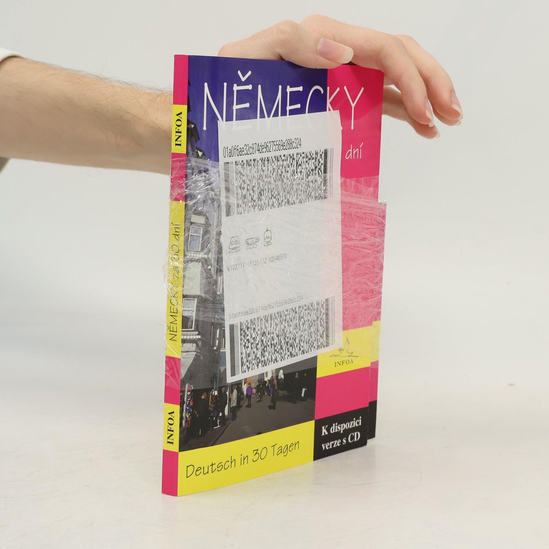Koubková Jaroslava Německy za 30 dní