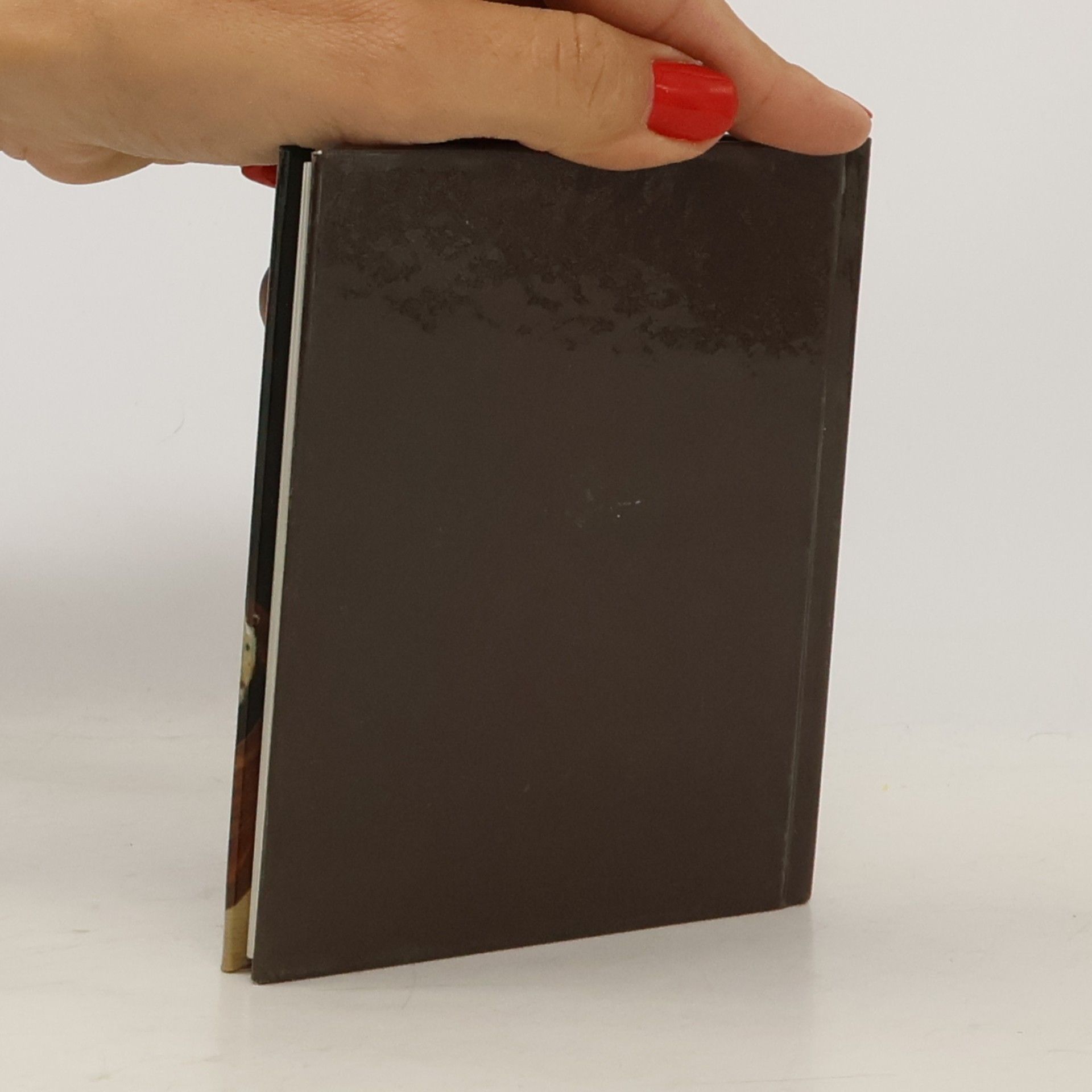 Maria Drewes Das Knödelbuch