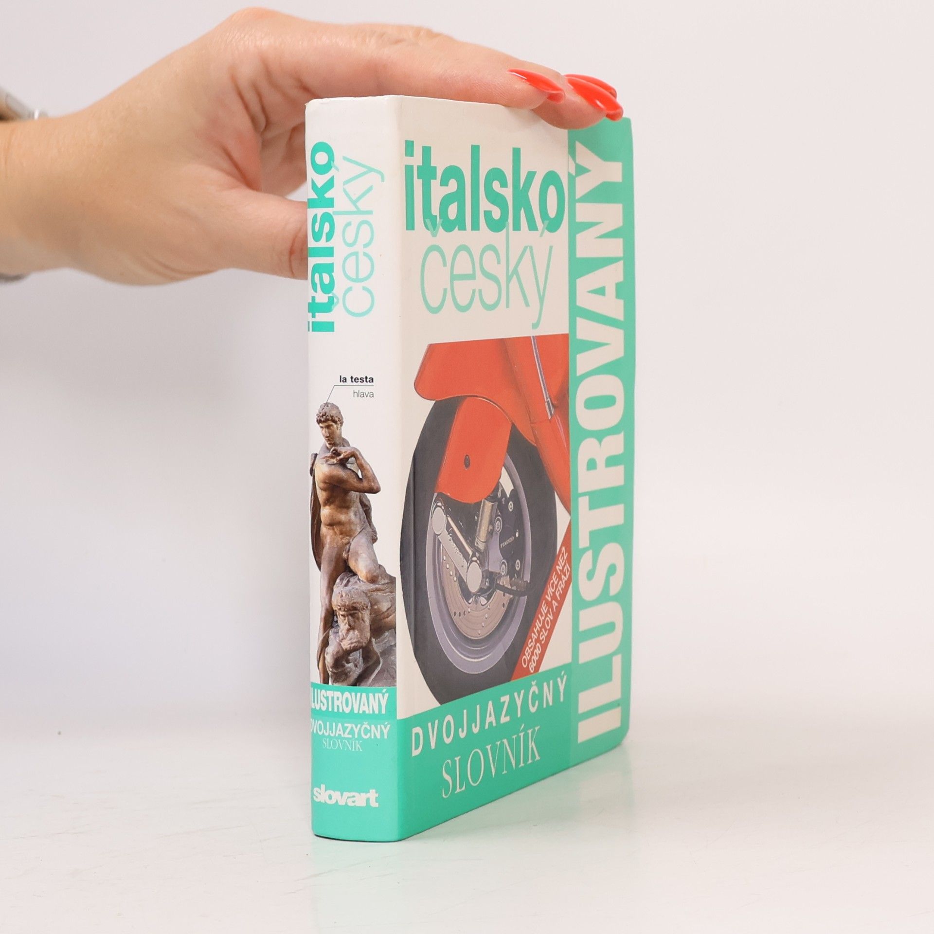 Autorenkollektiv Italskočeský dvojjazyčný ilustrovaný slovník