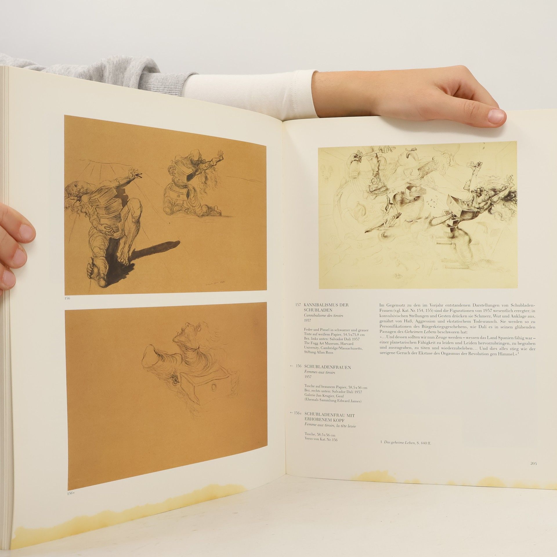 Auteurscollectief Salvador Dali