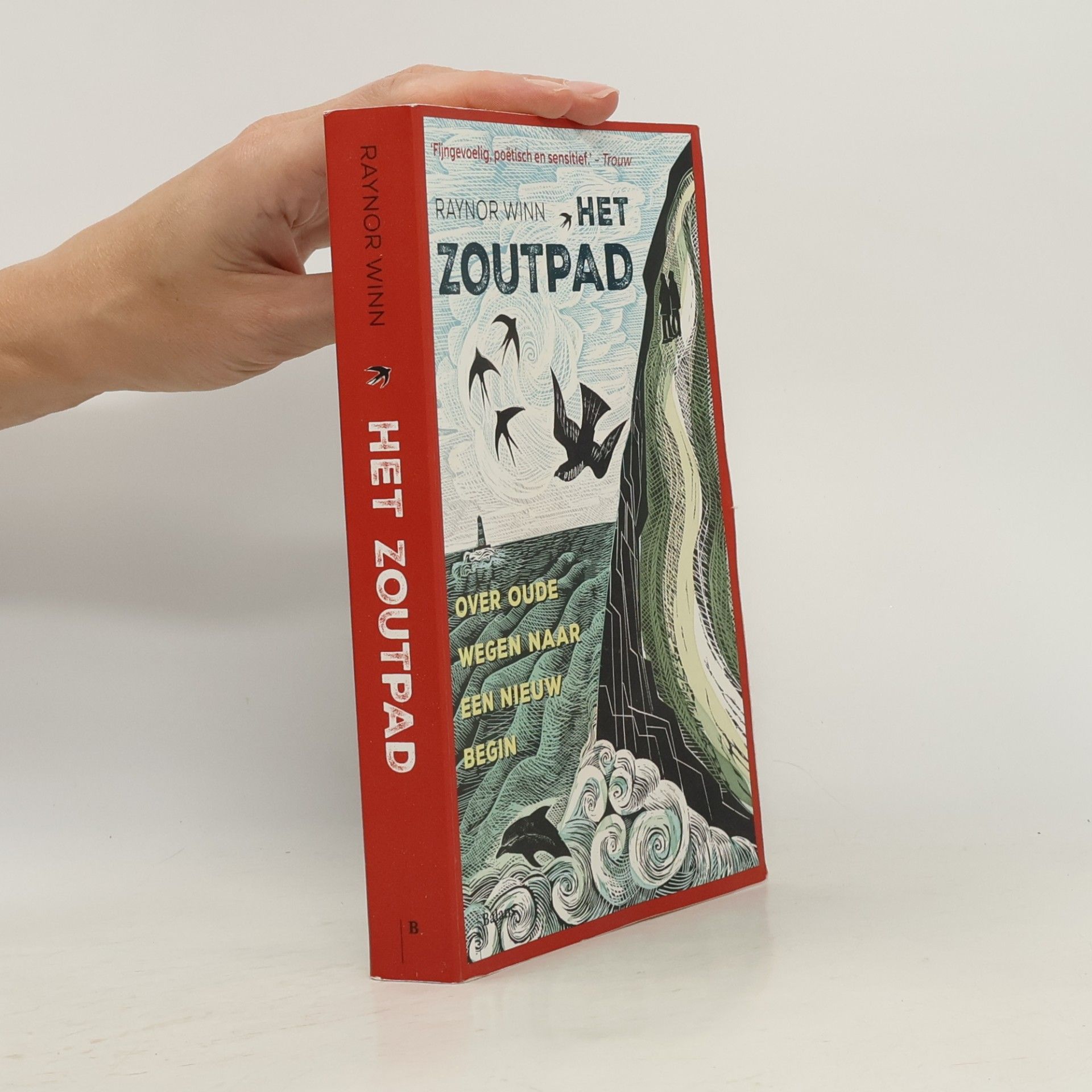 Het zoutpad