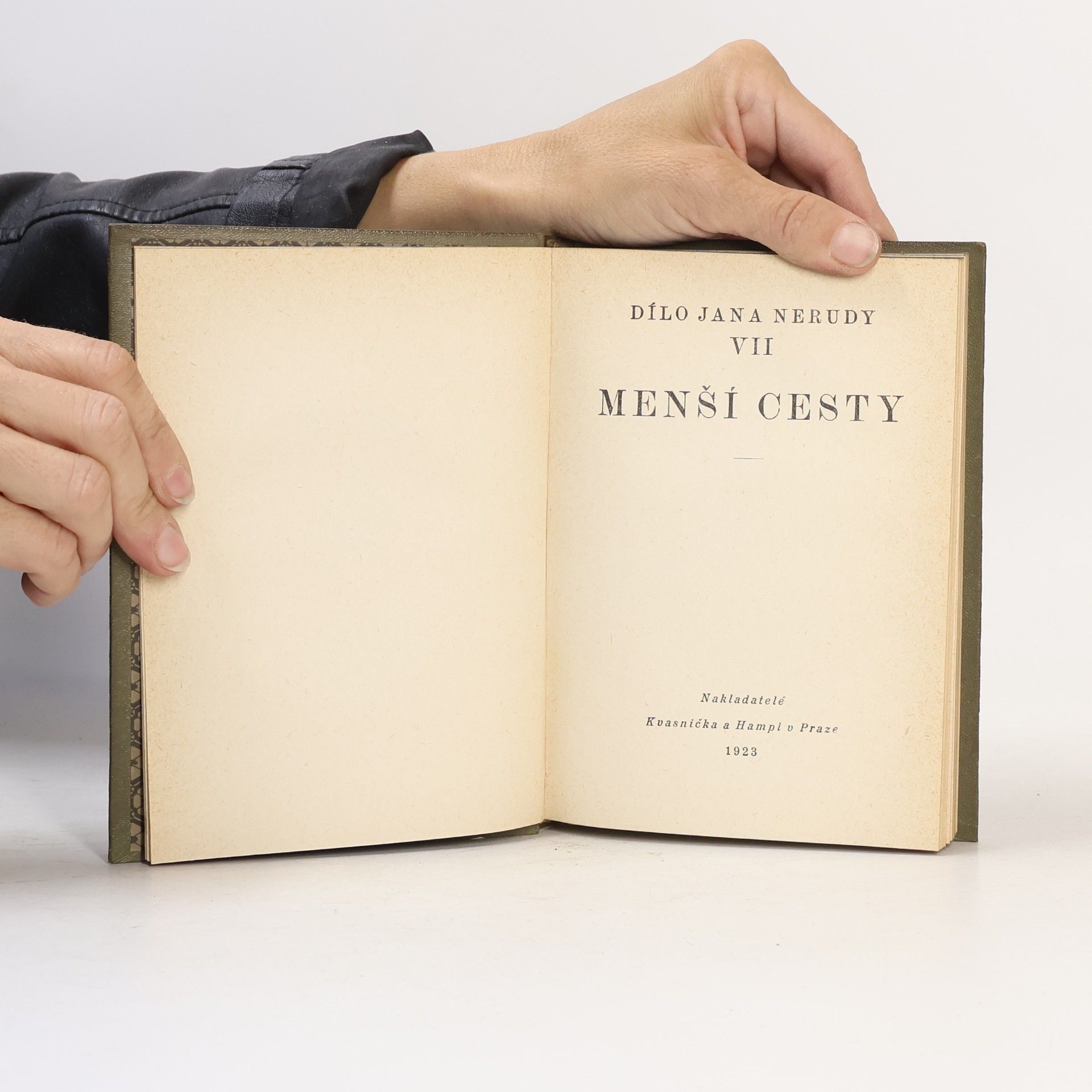 Jan Neruda Dílo Jana Nerudy VII. Menší cesty