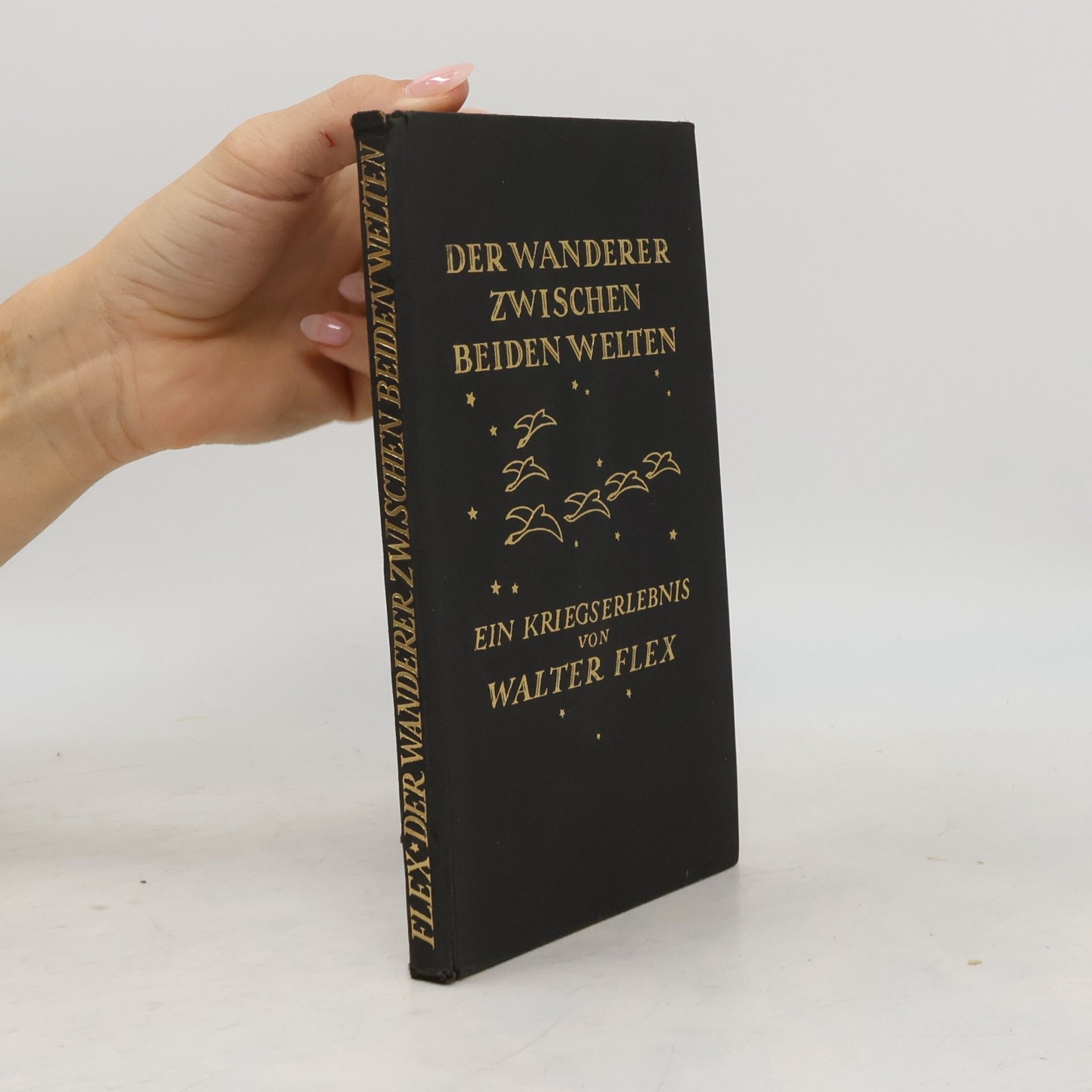 Walter Flex Der Wanderer zwischen beiden Welten