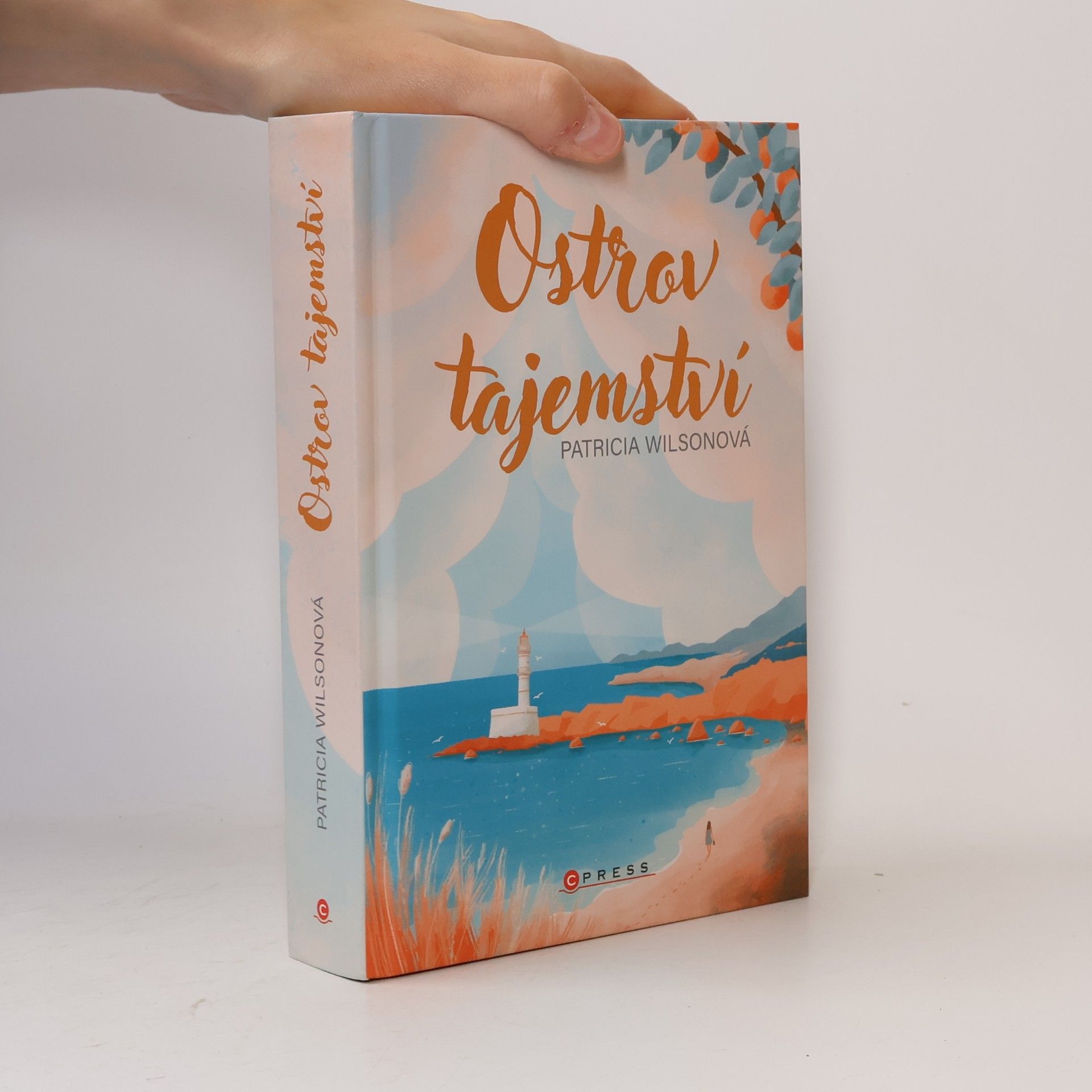 Patricia Wilson Ostrov tajemství
