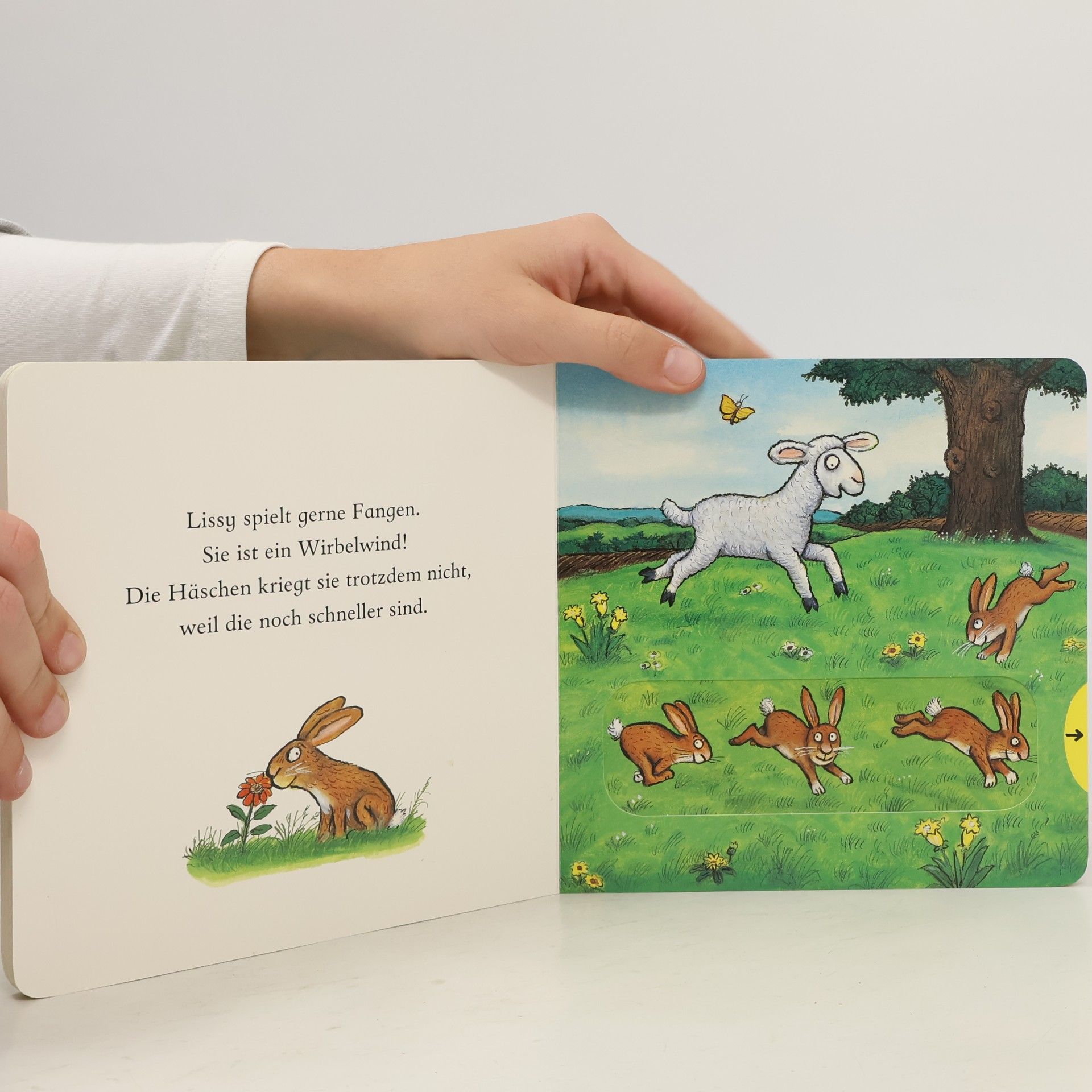 Axel Scheffler Lissy, das Lämmchen