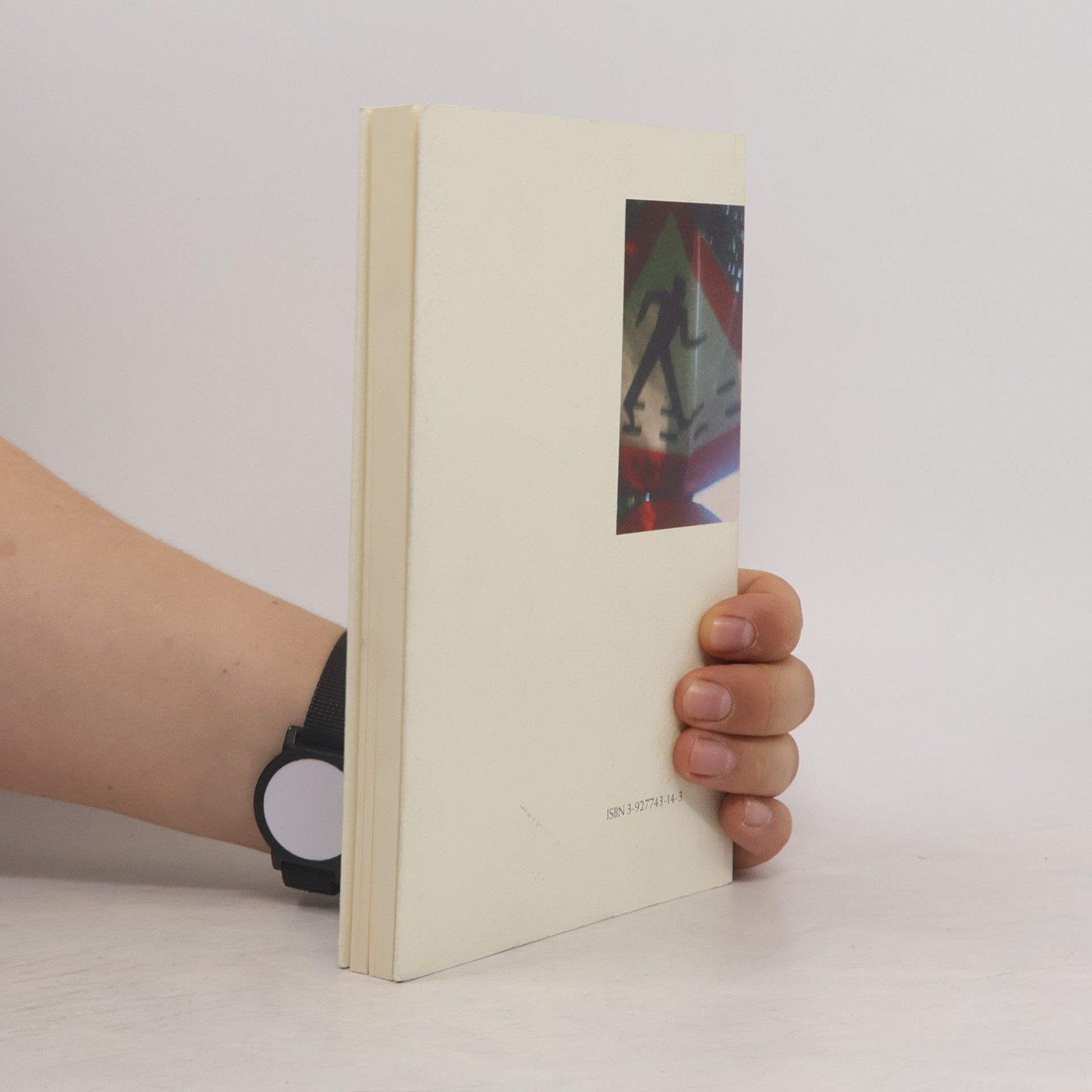Günter Herburger Das Glück. Eine Reise in Nähe und Ferne. Photonovelle