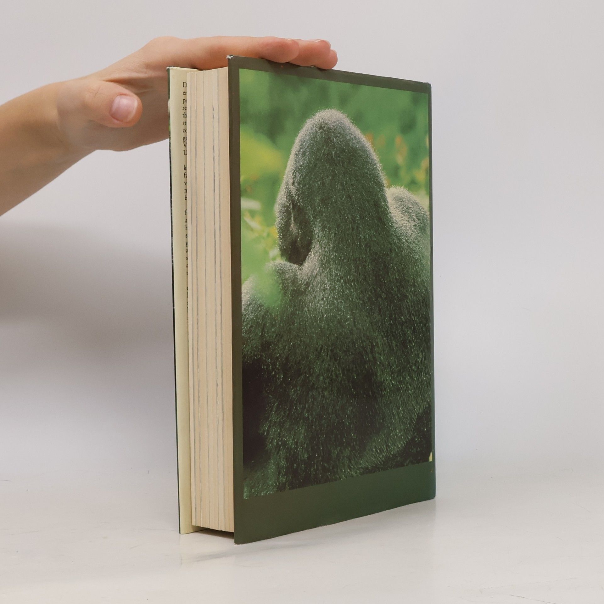 Dian Fossey GORILLAS IN THE MIST