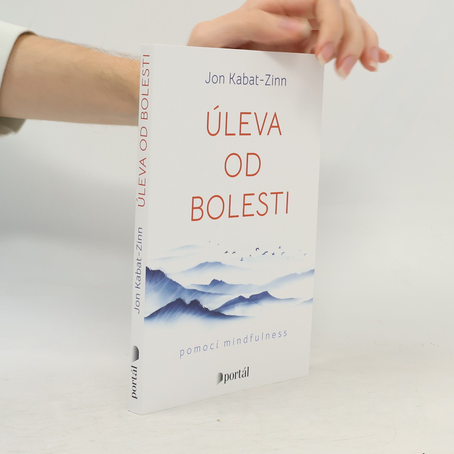 Šimon Grimmich Úleva od bolesti