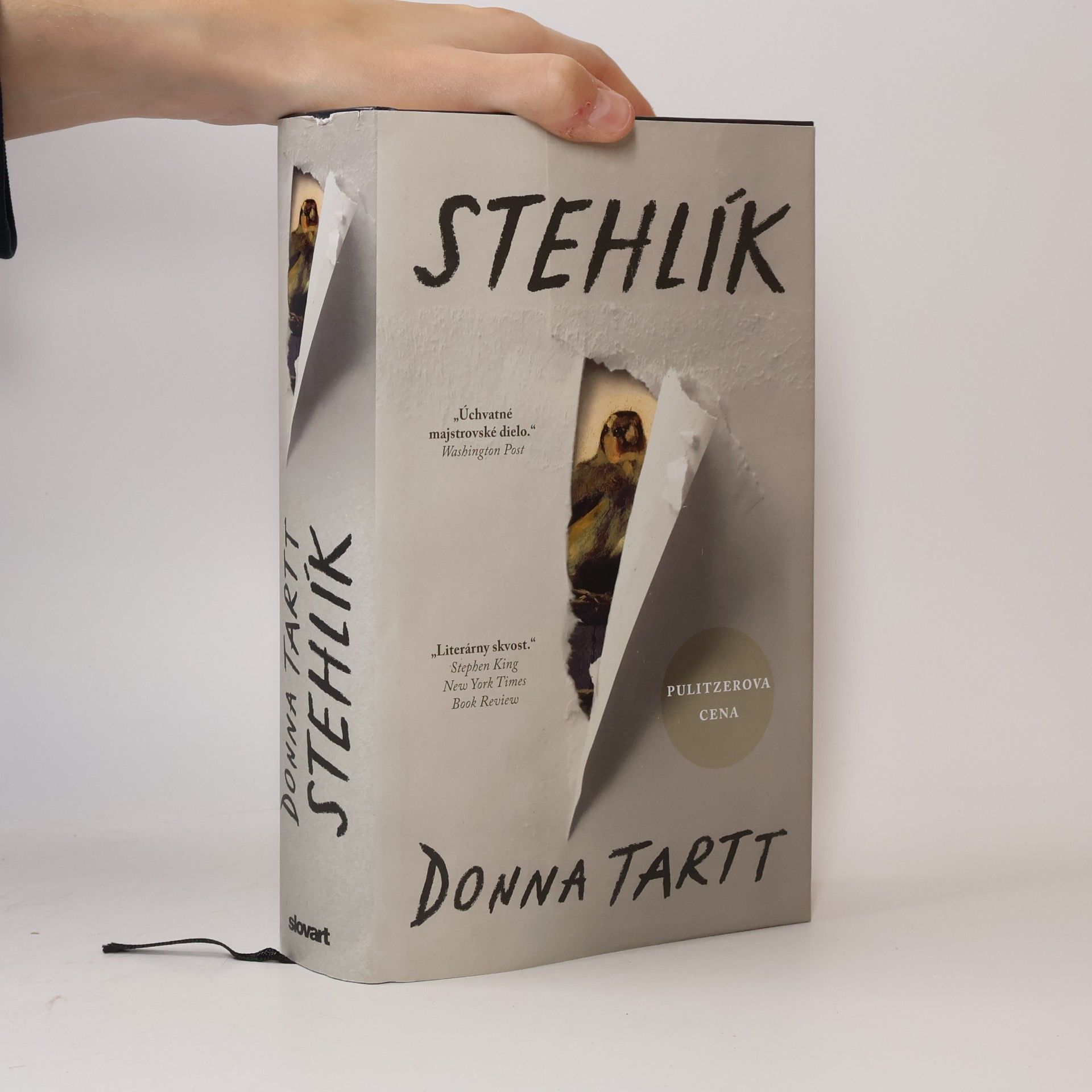 Donna Tartt Stehlík