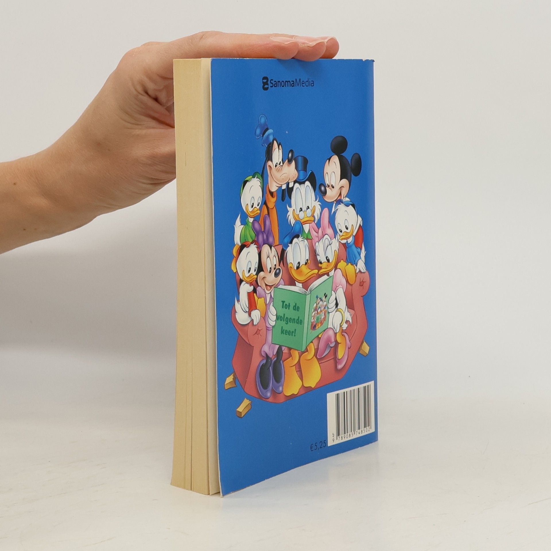 Walt Disney Company De ijzige strijd