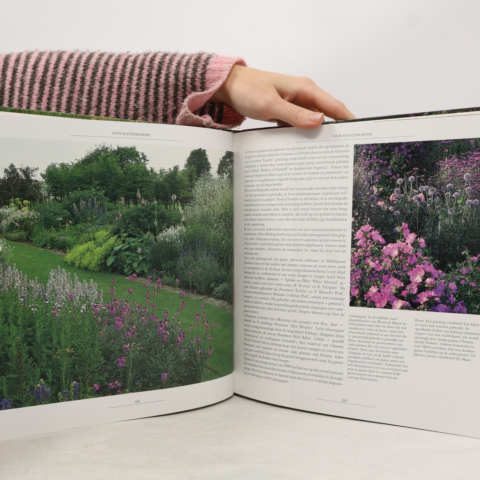 Rosemary Verey Mooiste tuincomposities