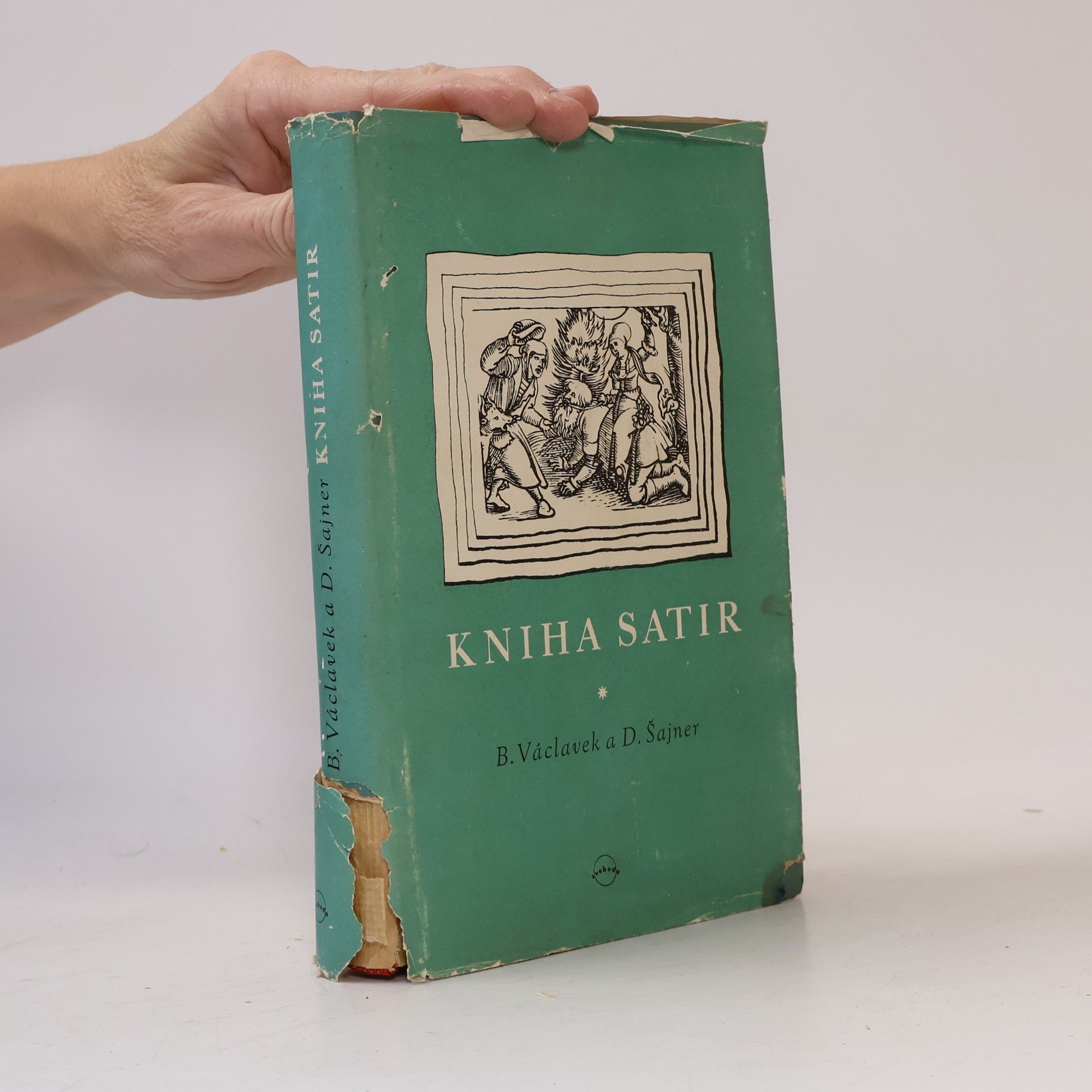 Kniha satir