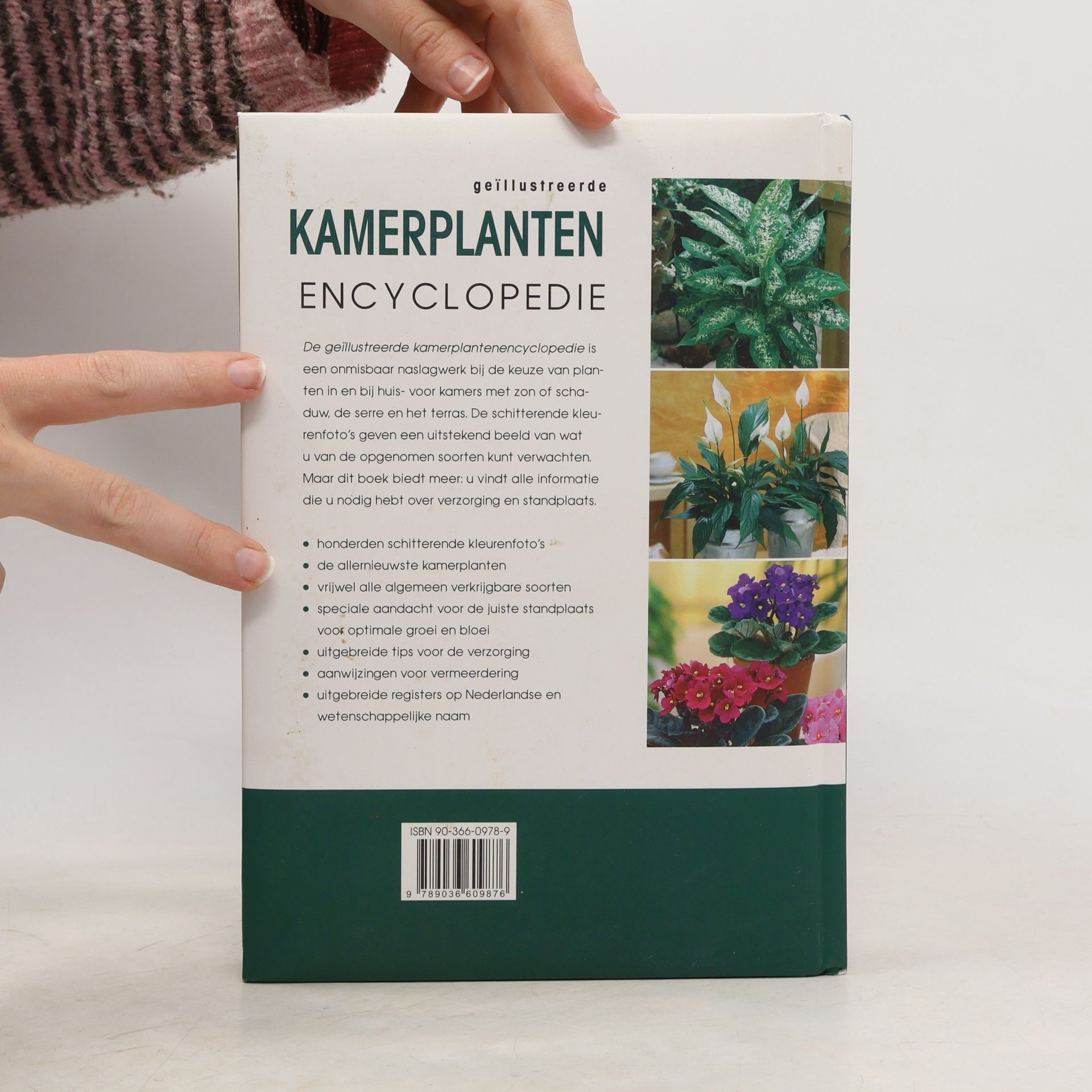 Nico Vermeulen Kamerplanten encyclopedie