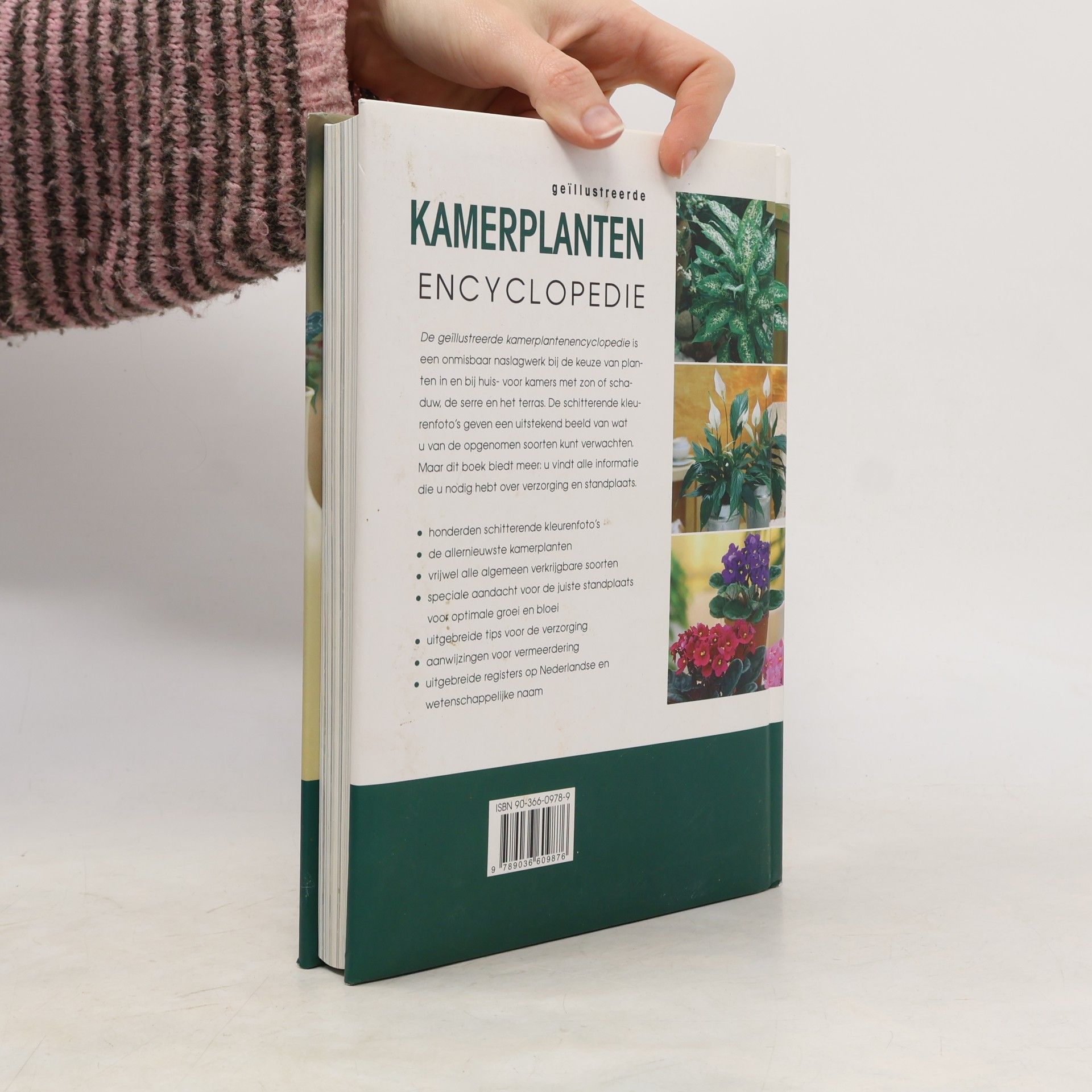 Nico Vermeulen Kamerplanten encyclopedie