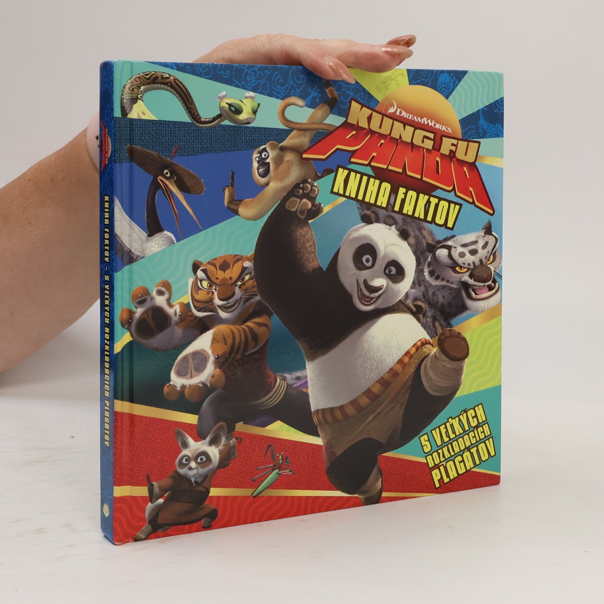 Autorenkollektiv Kung fu panda - kniha faktov