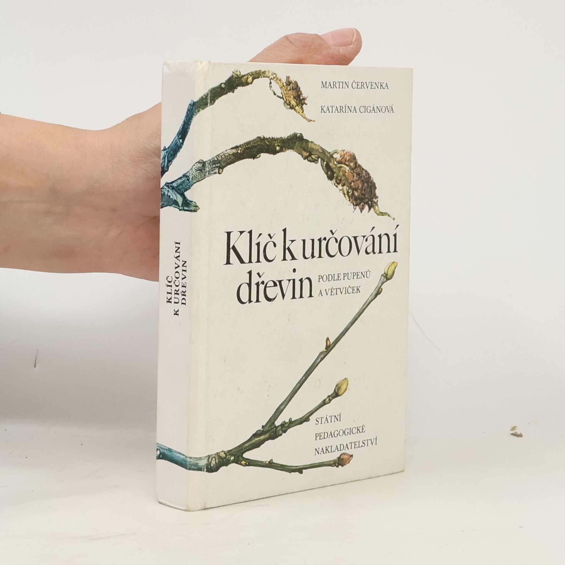 Katarína Cigánová Klíč k určování dřevin podle pupenů a větviček