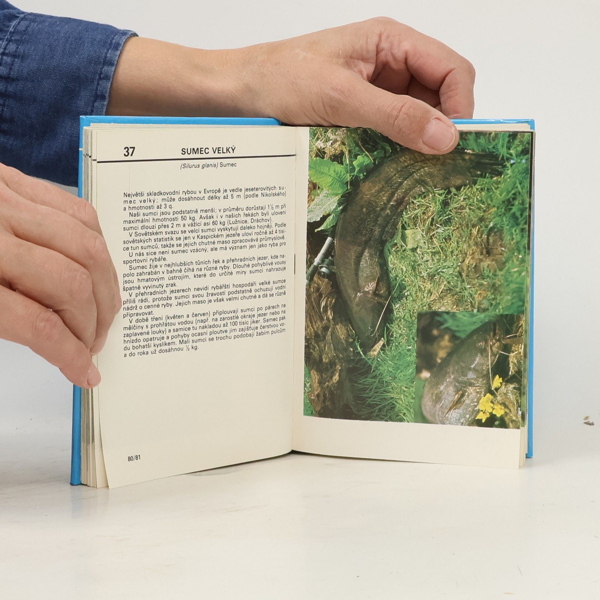 Otakar Štěpánek Kapesní atlas ryb, obojživelníků a plazů