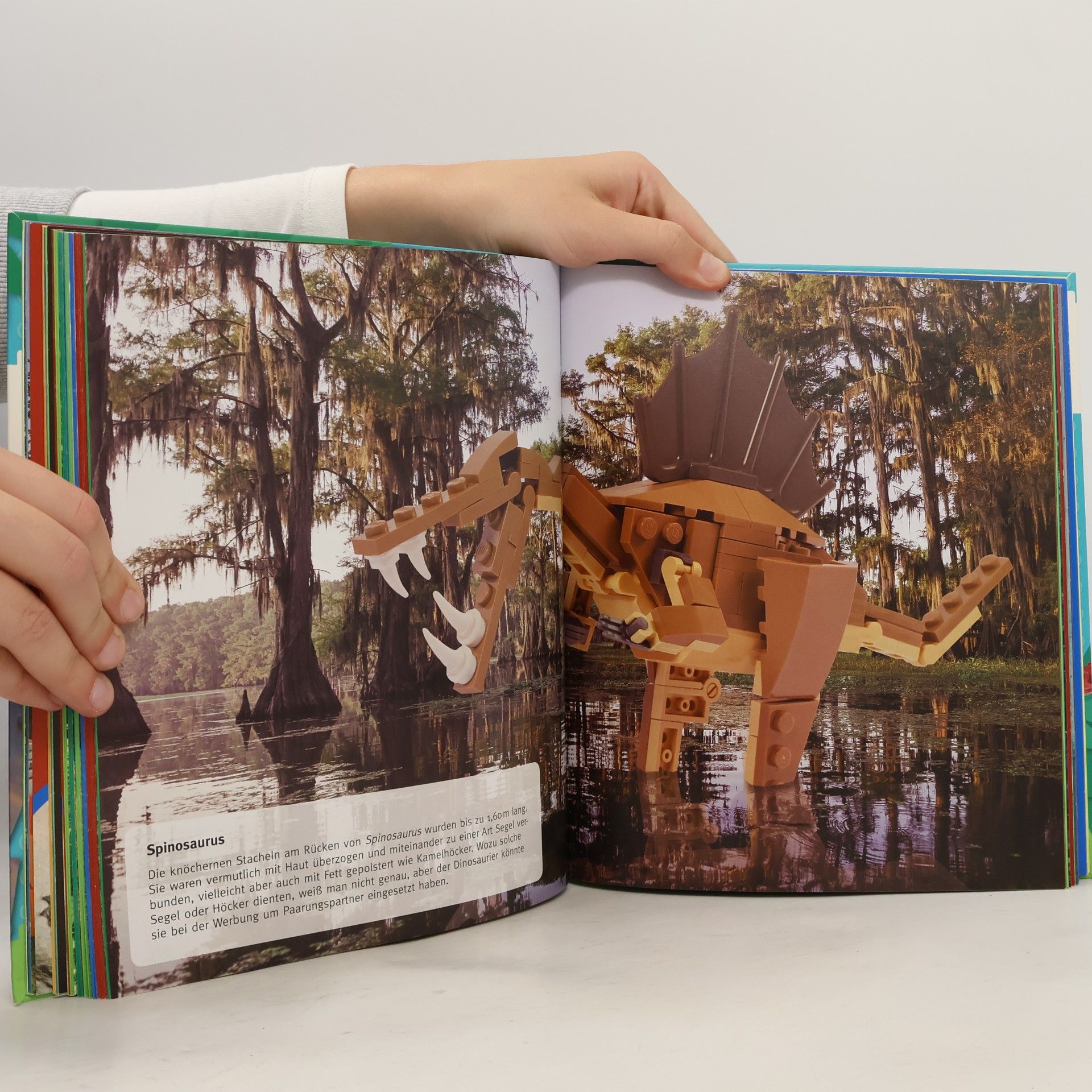 Waren Elsmore Dinosaurier