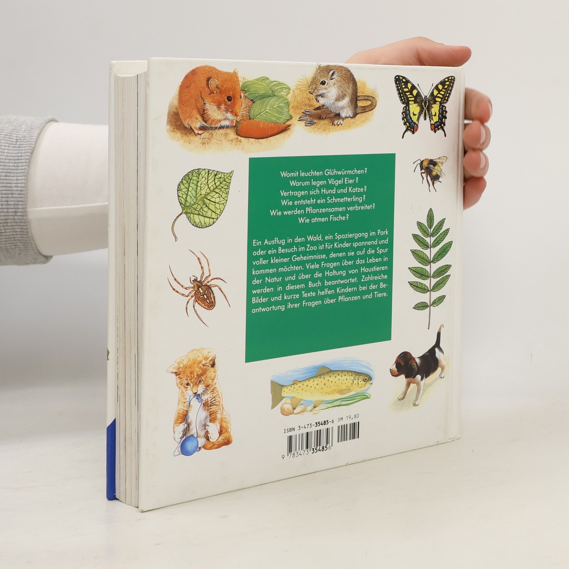 Ravensburger Buchverlag Alles was ich wissen will