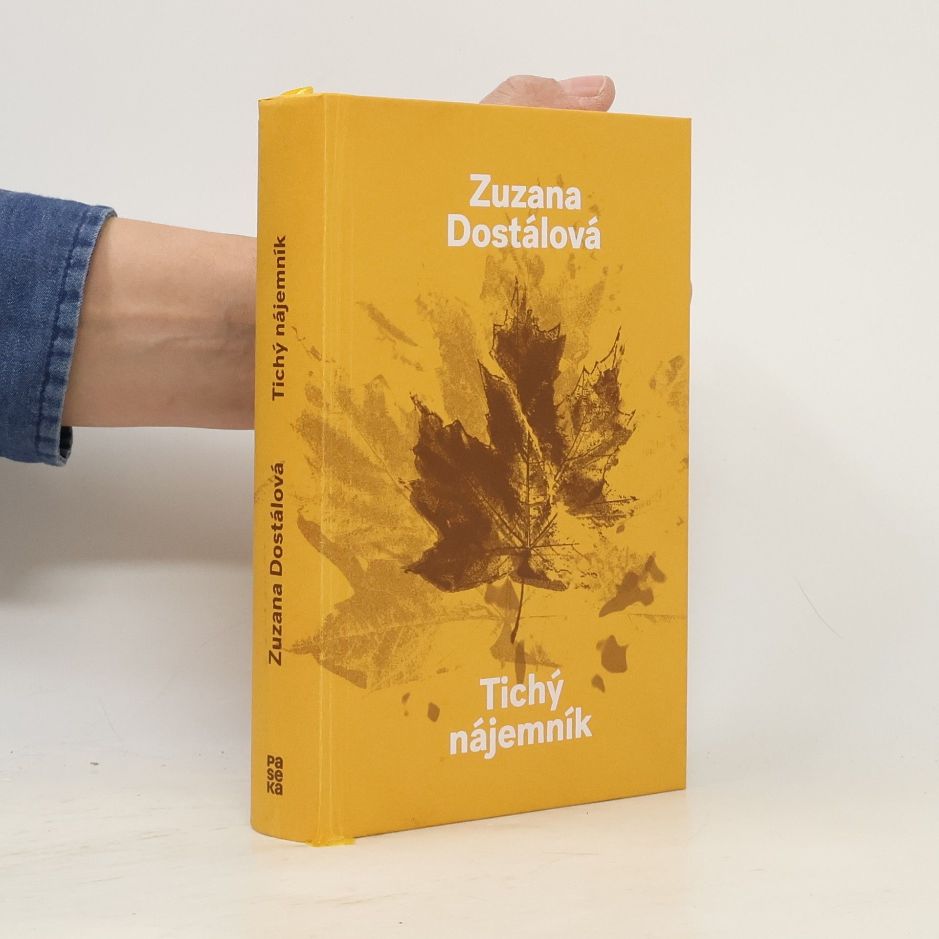 Zuzana Dostálová Tichý nájemník