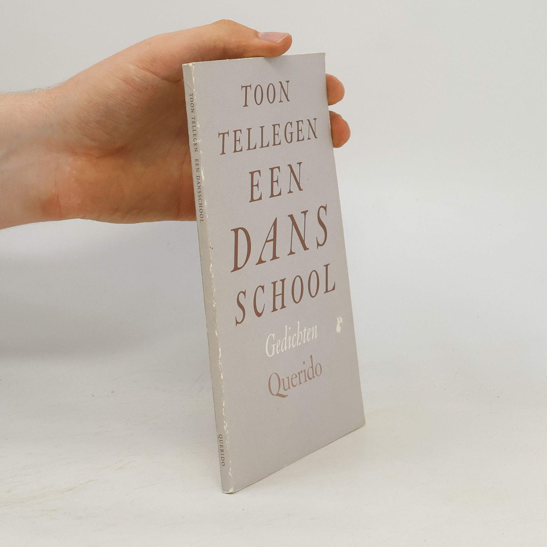Toon Tellegen Een dansschool