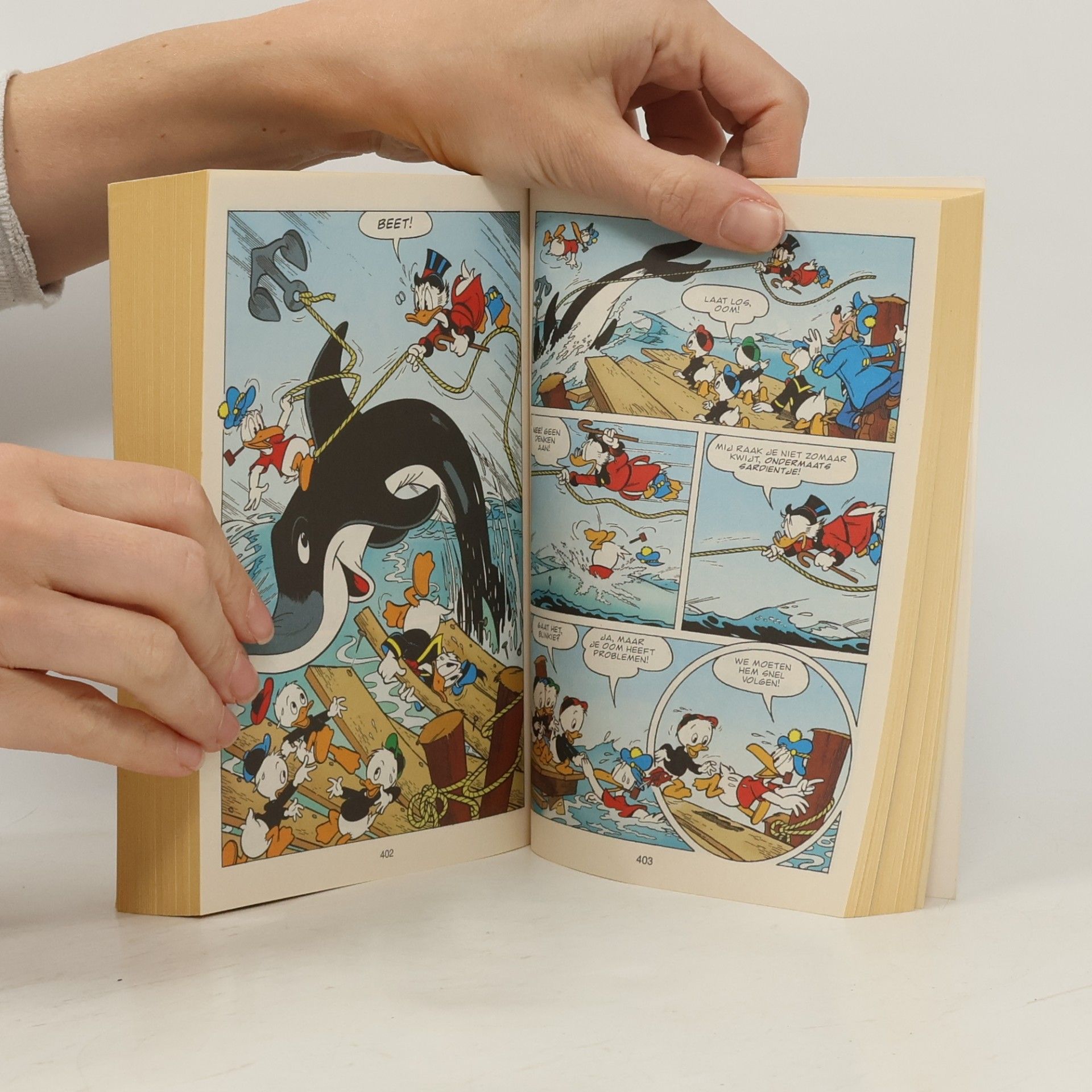 Walt Disney Company Op volle zee