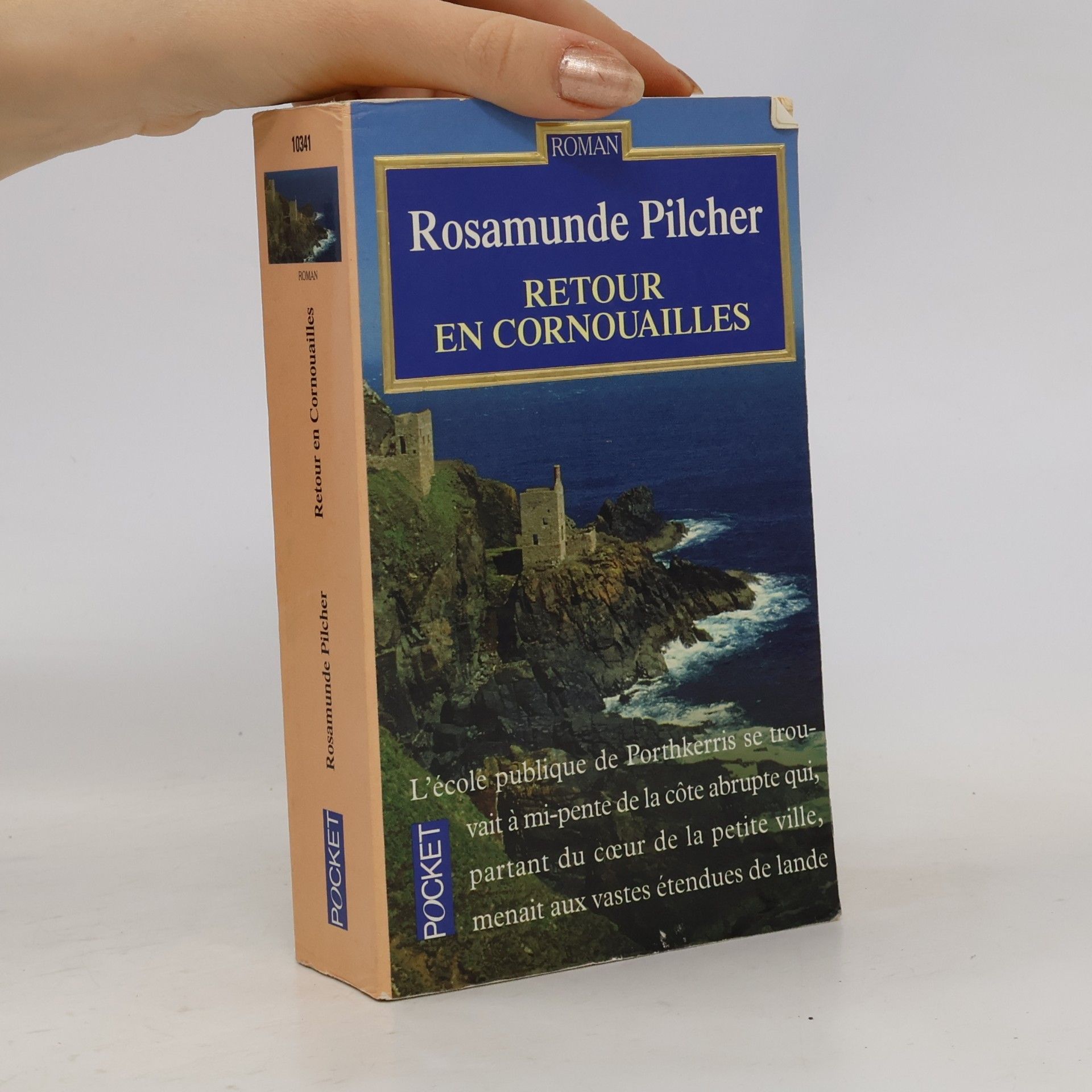 Rosamunde Pilcher Retour en Cornouailles