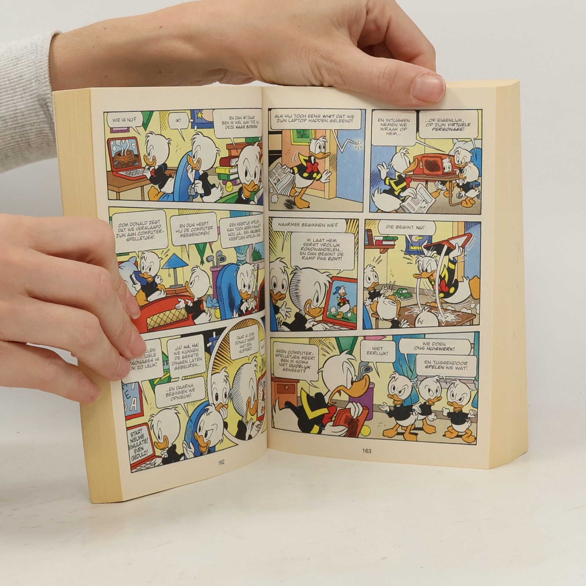 Het spook van de ganzenburcht (Donald Duck dubbelpocket, 39)